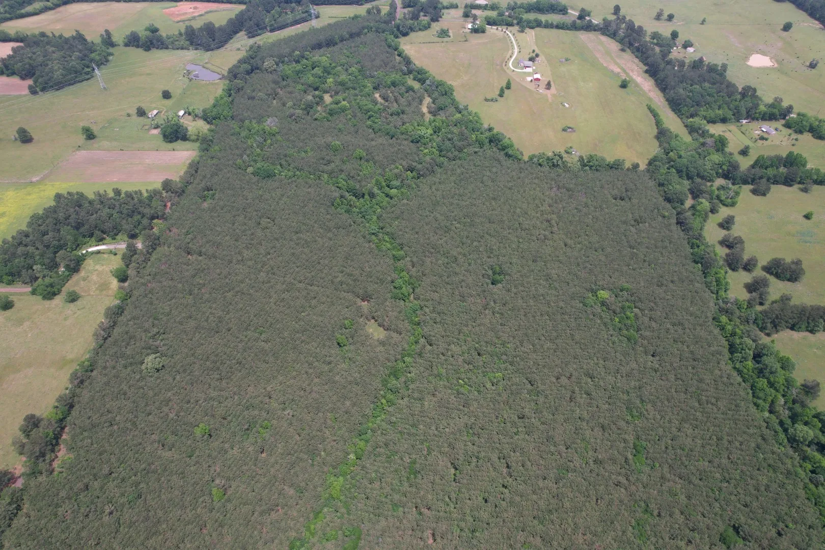 Unimproved Land For Sale in Rusk County , TBD-A County Road 3163, Laneville, Texas 75667, 0, 0, Garage spaces, 0 Sqft, built in 0, mls#21277604, Real Estate Agent in Laneville, Homes For Sale in Rusk county, Homes For Sale in Laneville, Realtor in Laneville Texas, Real Estate Brokerage Independent Realty Texas, Luminita Cordes Realtor