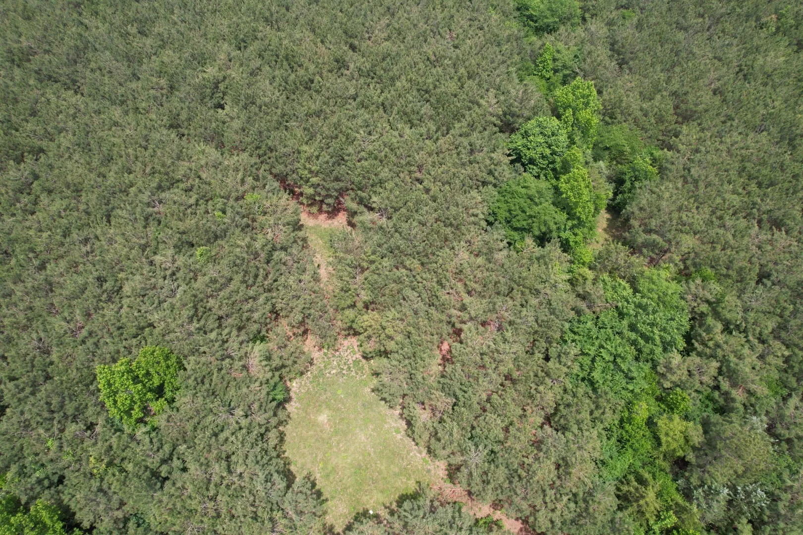 Unimproved Land For Sale in Rusk County , TBD-A County Road 3163, Laneville, Texas 75667, 0, 0, Garage spaces, 0 Sqft, built in 0, mls#21277604, Real Estate Agent in Laneville, Homes For Sale in Rusk county, Homes For Sale in Laneville, Realtor in Laneville Texas, Real Estate Brokerage Independent Realty Texas, Luminita Cordes Realtor