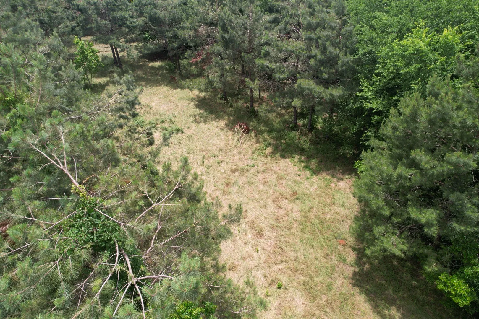 Unimproved Land For Sale in Rusk County , TBD-A County Road 3163, Laneville, Texas 75667, 0, 0, Garage spaces, 0 Sqft, built in 0, mls#21277604, Real Estate Agent in Laneville, Homes For Sale in Rusk county, Homes For Sale in Laneville, Realtor in Laneville Texas, Real Estate Brokerage Independent Realty Texas, Luminita Cordes Realtor