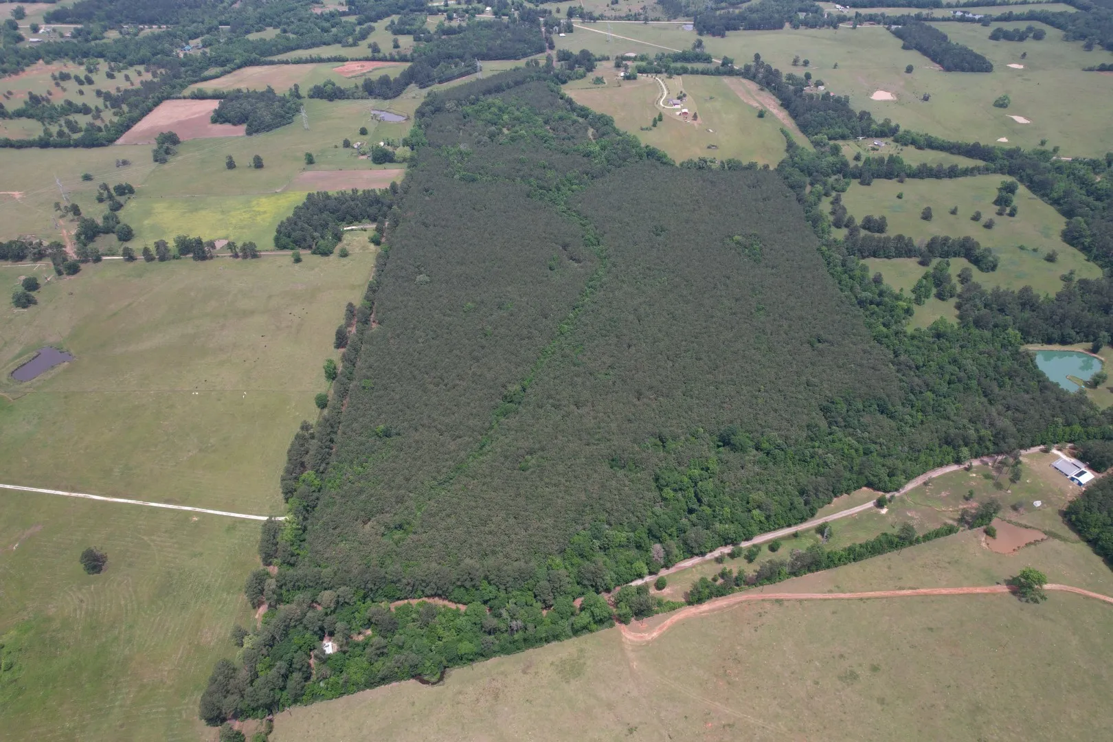 Unimproved Land For Sale in Rusk County , TBD-A County Road 3163, Laneville, Texas 75667, 0, 0, Garage spaces, 0 Sqft, built in 0, mls#21277604, Real Estate Agent in Laneville, Homes For Sale in Rusk county, Homes For Sale in Laneville, Realtor in Laneville Texas, Real Estate Brokerage Independent Realty Texas, Luminita Cordes Realtor