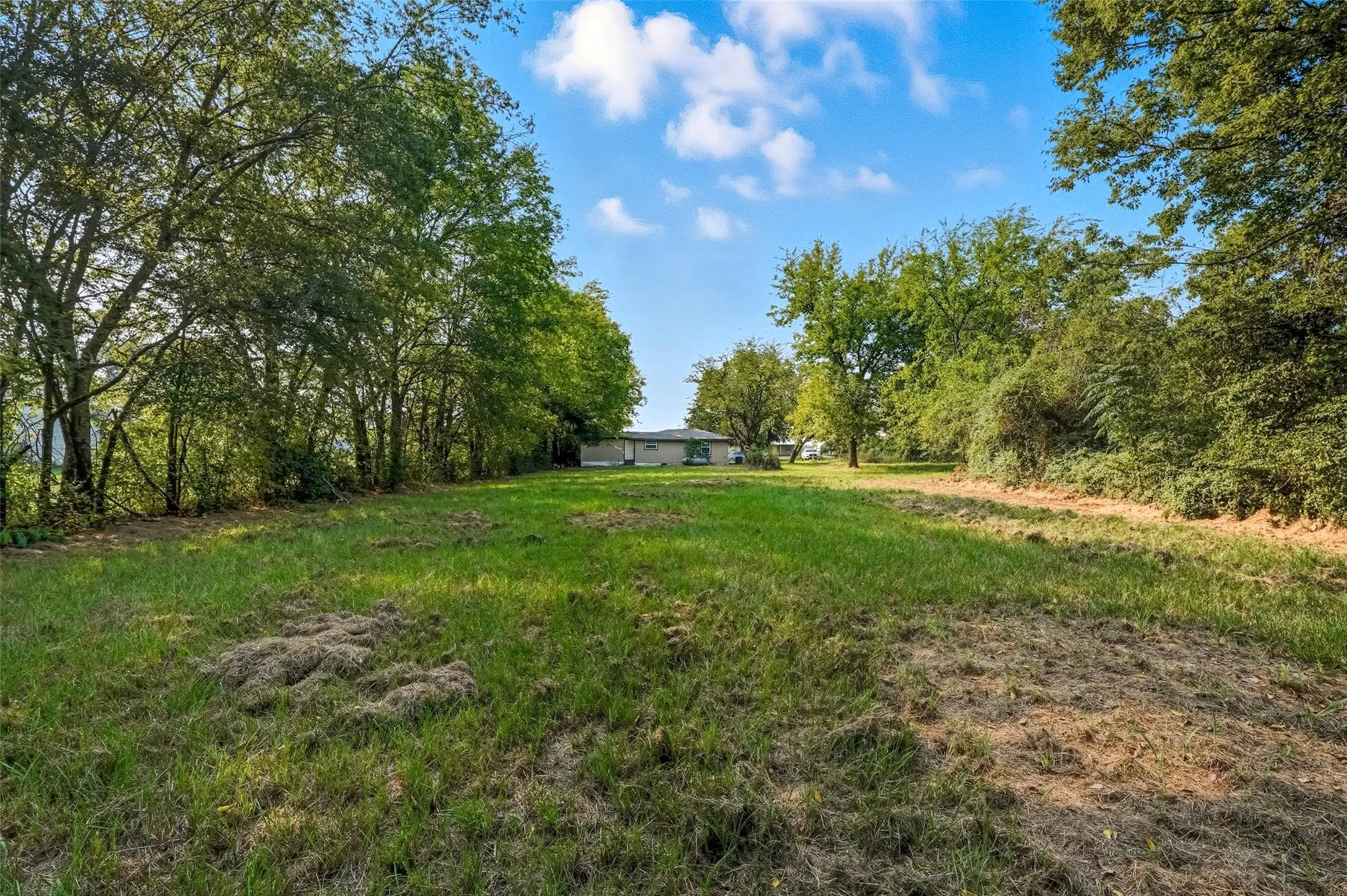 Expansive green space with natural tree lines