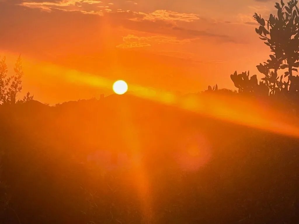 Sunrise