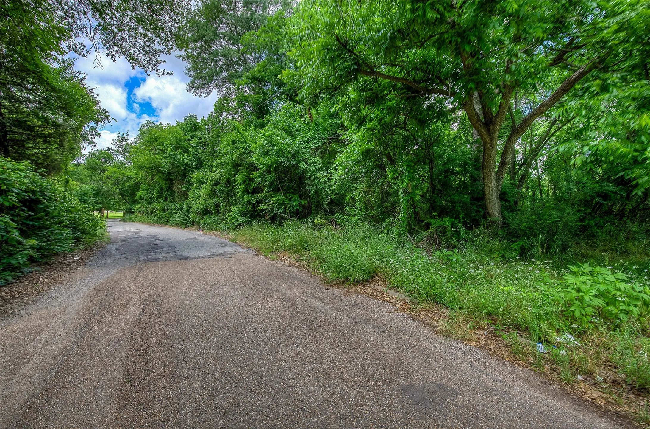 Unimproved Land For Sale in Hunt County , 0000 Sycamore Street, Commerce, Texas 75428, 0, 0, Garage spaces, 0 Sqft, built in 0, Price $49,900, mls#21277623, Real Estate Agent in Commerce, Homes For Sale in Hunt county, Homes For Sale in Commerce, Realtor in Commerce Texas, Real Estate Brokerage Independent Realty Texas, Luminita Cordes Realtor