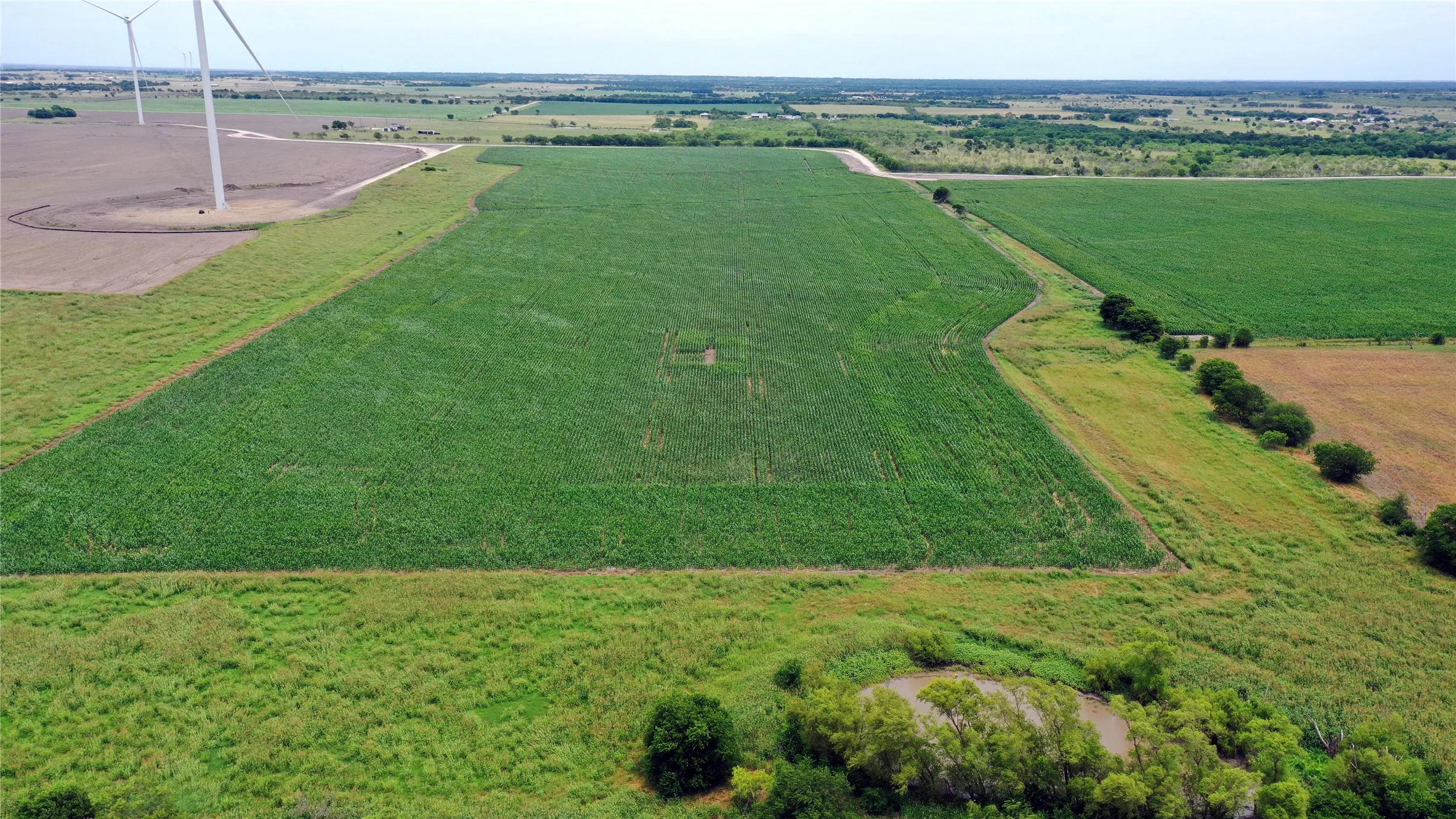Ranch For Sale in Navarro County , 3341 FM 639, Frost, Texas 76641, 0, 0, Garage spaces, 0 Sqft, built in 0, mls#21276287, Real Estate Agent in Frost, Homes For Sale in Navarro county, Homes For Sale in Frost, Realtor in Frost Texas, Real Estate Brokerage Independent Realty Texas, Luminita Cordes Realtor