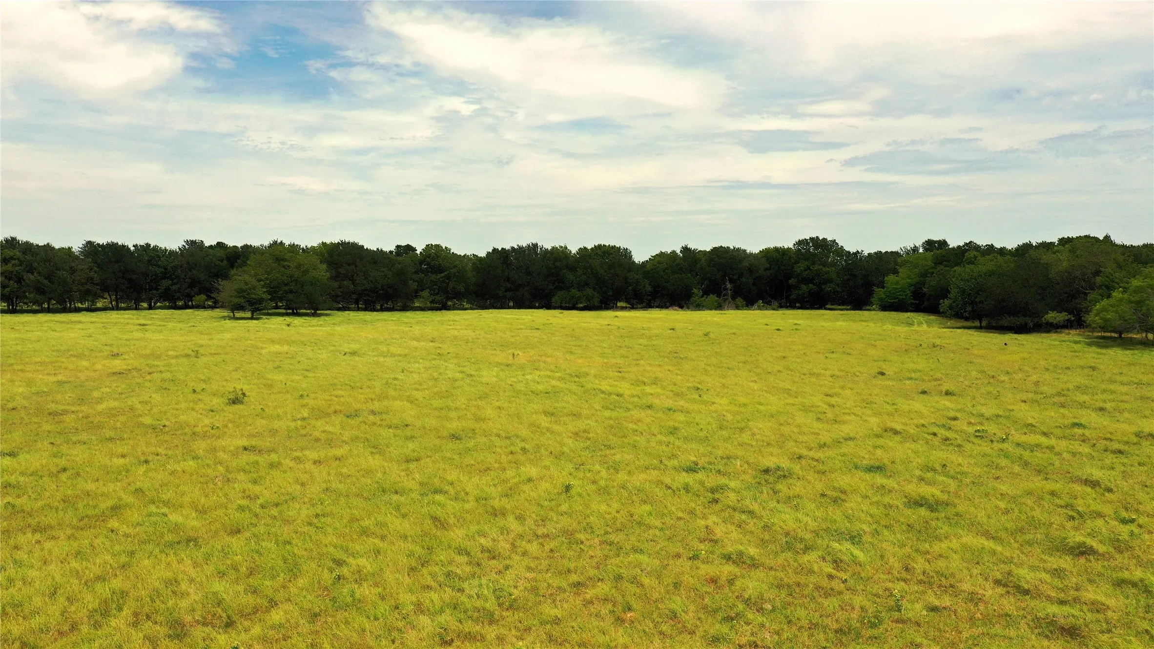 Ranch For Sale in Navarro County , 3341 FM 639, Frost, Texas 76641, 0, 0, Garage spaces, 0 Sqft, built in 0, mls#21276287, Real Estate Agent in Frost, Homes For Sale in Navarro county, Homes For Sale in Frost, Realtor in Frost Texas, Real Estate Brokerage Independent Realty Texas, Luminita Cordes Realtor