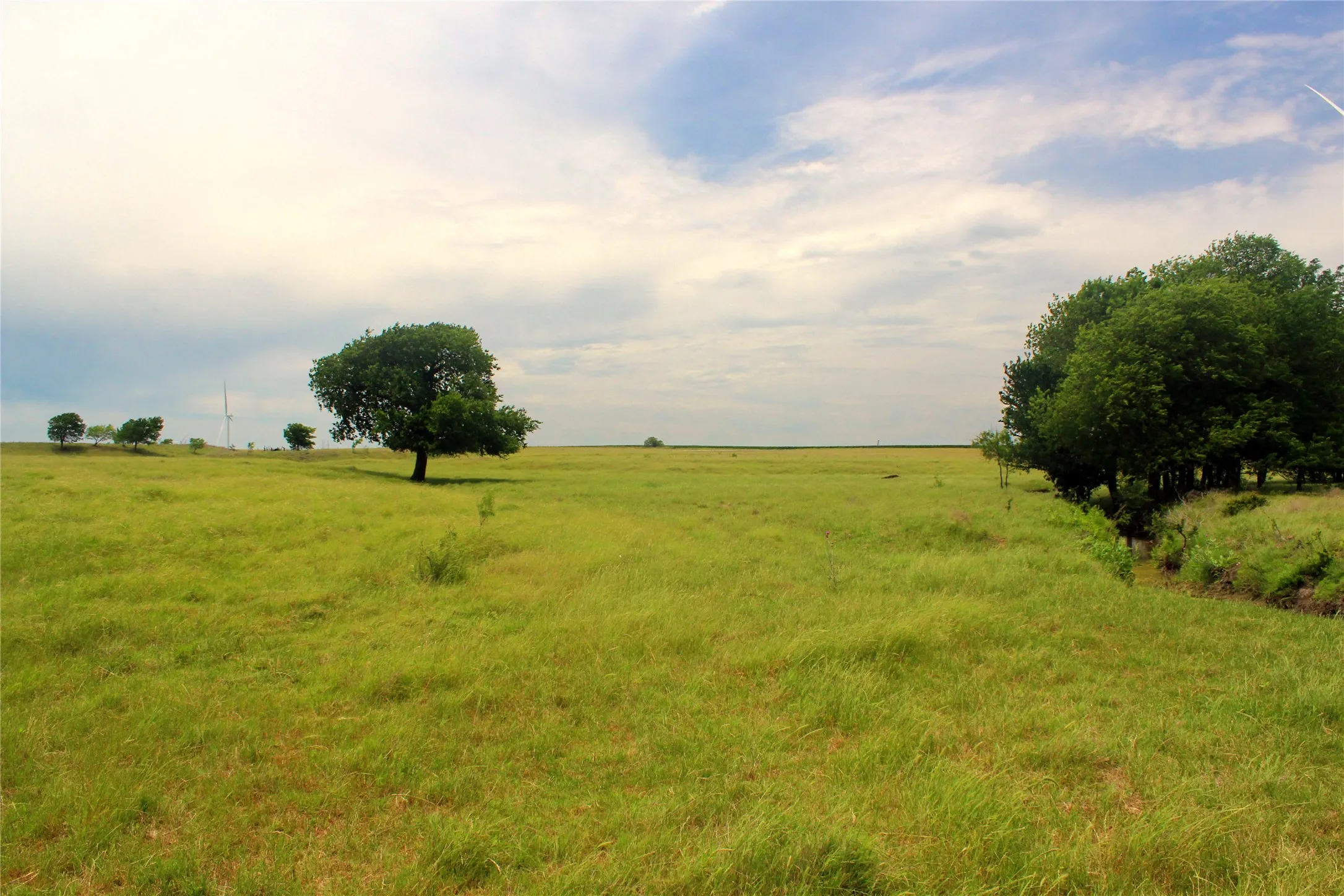 Ranch For Sale in Navarro County , 3341 FM 639, Frost, Texas 76641, 0, 0, Garage spaces, 0 Sqft, built in 0, mls#21276287, Real Estate Agent in Frost, Homes For Sale in Navarro county, Homes For Sale in Frost, Realtor in Frost Texas, Real Estate Brokerage Independent Realty Texas, Luminita Cordes Realtor
