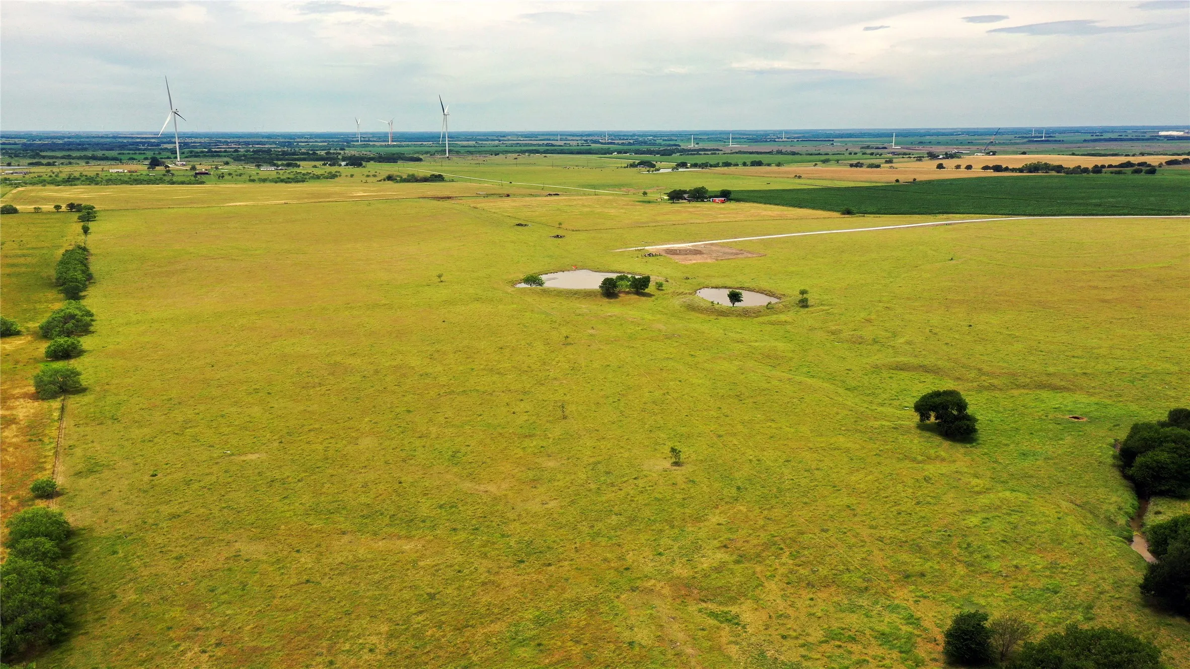 Ranch For Sale in Navarro County , 3341 FM 639, Frost, Texas 76641, 0, 0, Garage spaces, 0 Sqft, built in 0, mls#21276287, Real Estate Agent in Frost, Homes For Sale in Navarro county, Homes For Sale in Frost, Realtor in Frost Texas, Real Estate Brokerage Independent Realty Texas, Luminita Cordes Realtor