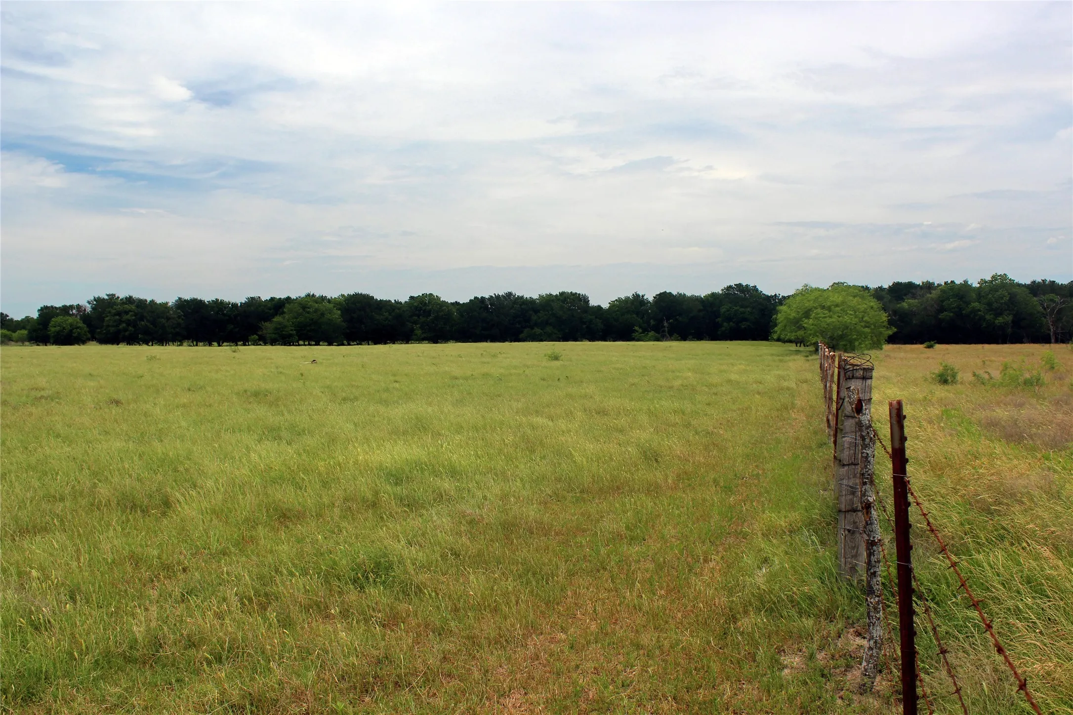 Ranch For Sale in Navarro County , 3341 FM 639, Frost, Texas 76641, 0, 0, Garage spaces, 0 Sqft, built in 0, mls#21276287, Real Estate Agent in Frost, Homes For Sale in Navarro county, Homes For Sale in Frost, Realtor in Frost Texas, Real Estate Brokerage Independent Realty Texas, Luminita Cordes Realtor