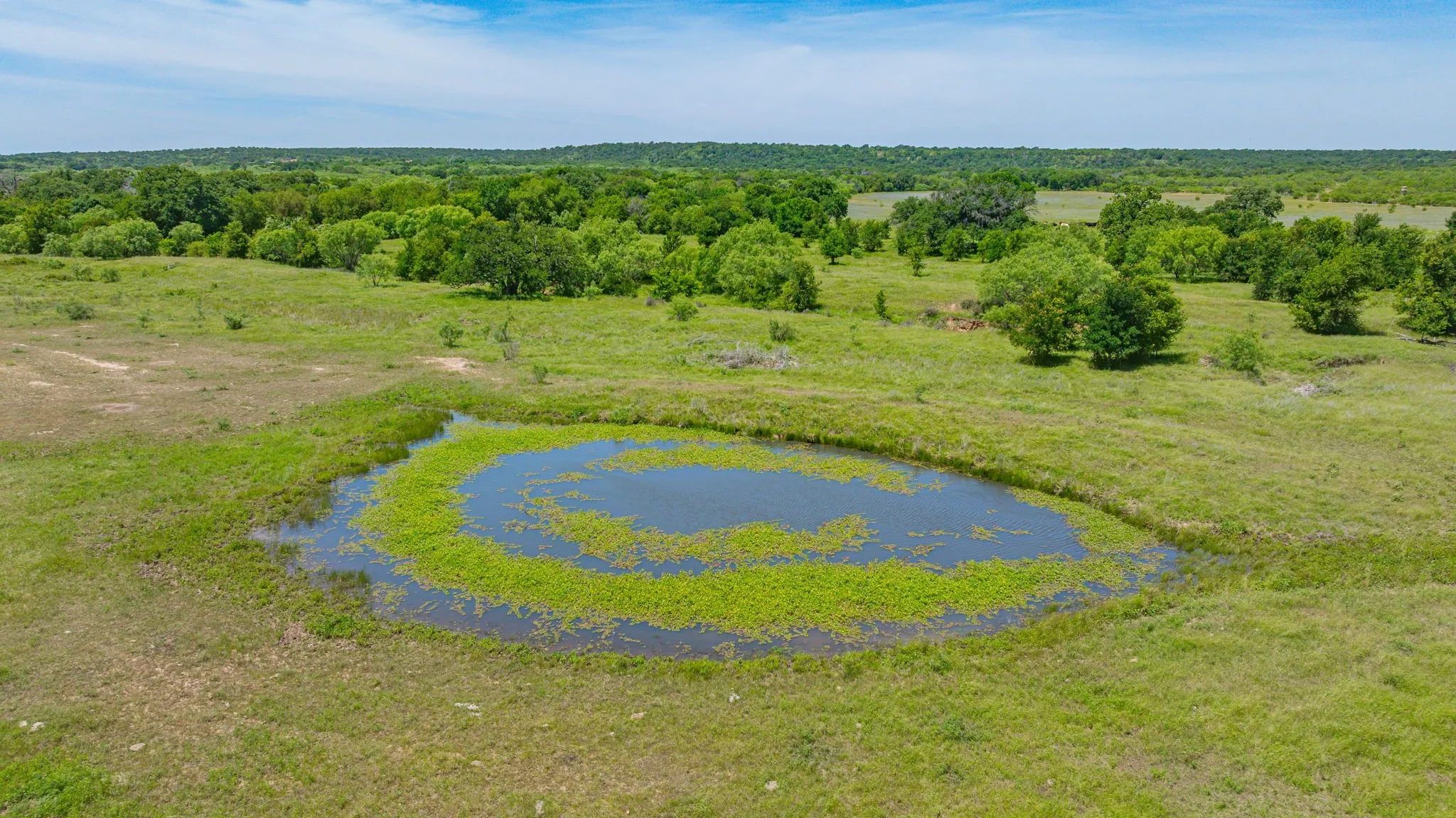 Ranch For Sale in Palo Pinto County , 19514 S FM 4, Lipan, Texas 76462, 0, 0, Garage spaces, 0 Sqft, built in 0, mls#21277481, Real Estate Agent in Lipan, Homes For Sale in Palo Pinto county, Homes For Sale in Lipan, Realtor in Lipan Texas, Real Estate Brokerage Independent Realty Texas, Luminita Cordes Realtor