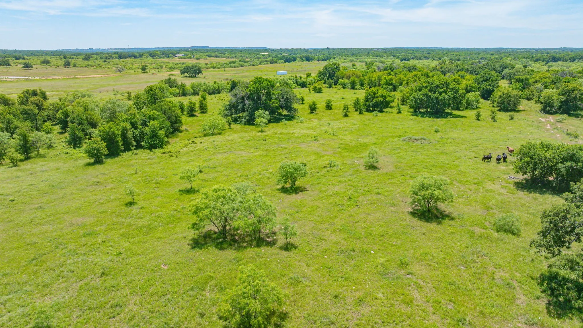 Ranch For Sale in Palo Pinto County , 19514 S FM 4, Lipan, Texas 76462, 0, 0, Garage spaces, 0 Sqft, built in 0, mls#21277481, Real Estate Agent in Lipan, Homes For Sale in Palo Pinto county, Homes For Sale in Lipan, Realtor in Lipan Texas, Real Estate Brokerage Independent Realty Texas, Luminita Cordes Realtor