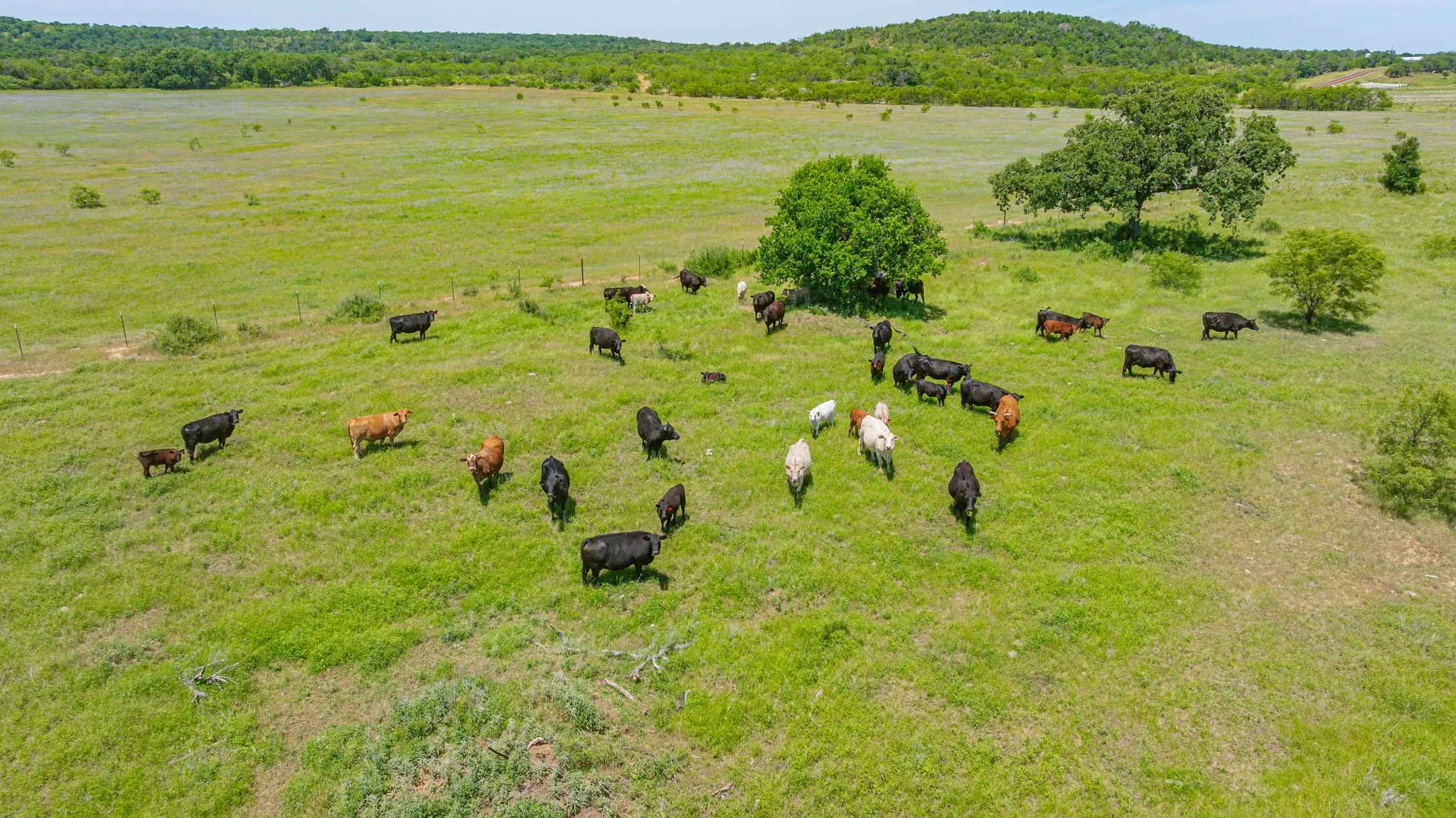 Ranch For Sale in Palo Pinto County , 19514 S FM 4, Lipan, Texas 76462, 0, 0, Garage spaces, 0 Sqft, built in 0, mls#21277481, Real Estate Agent in Lipan, Homes For Sale in Palo Pinto county, Homes For Sale in Lipan, Realtor in Lipan Texas, Real Estate Brokerage Independent Realty Texas, Luminita Cordes Realtor