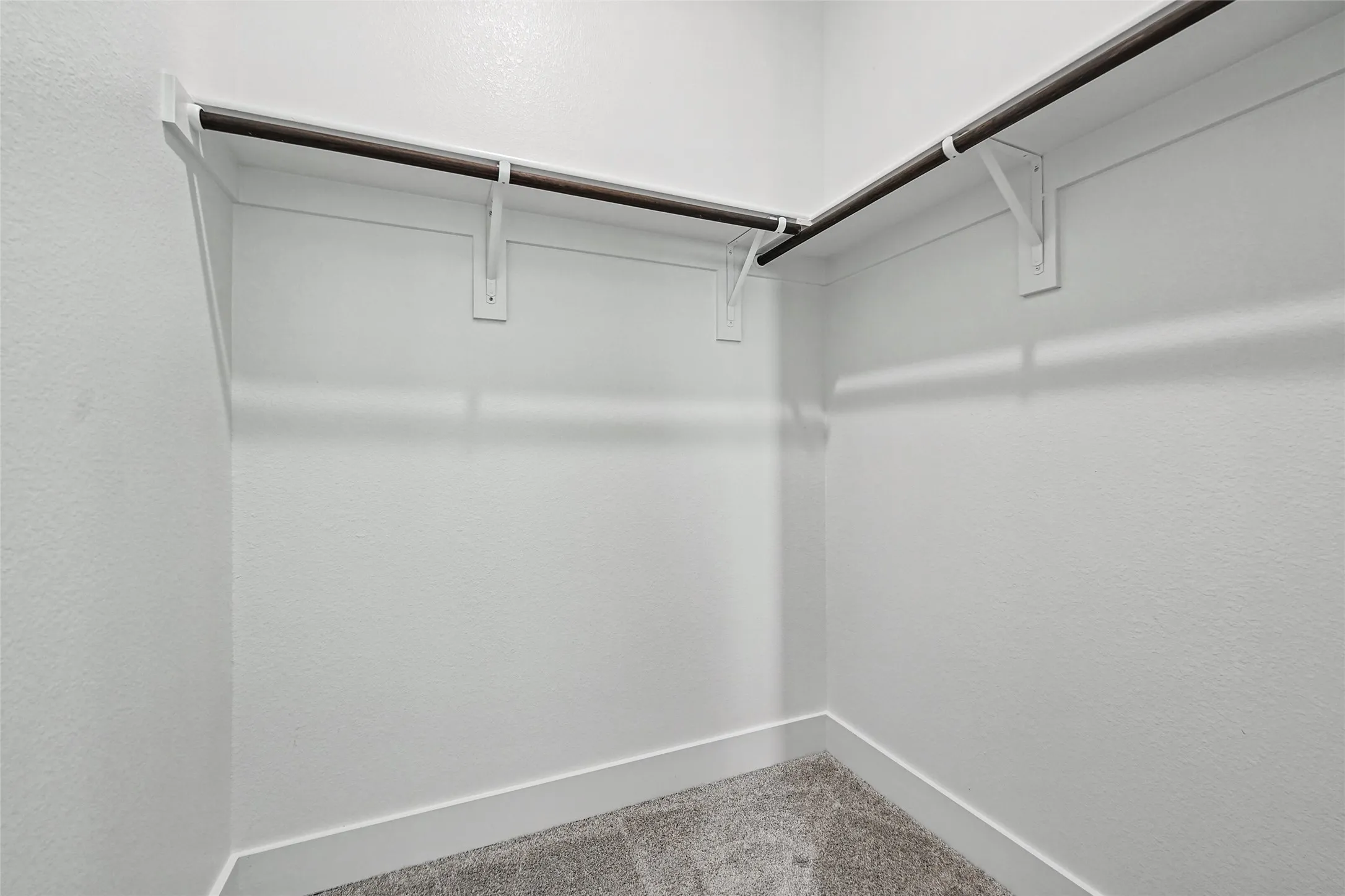 Carpeted walk-in closet featuring white walls, white trim, and metal hanging rods