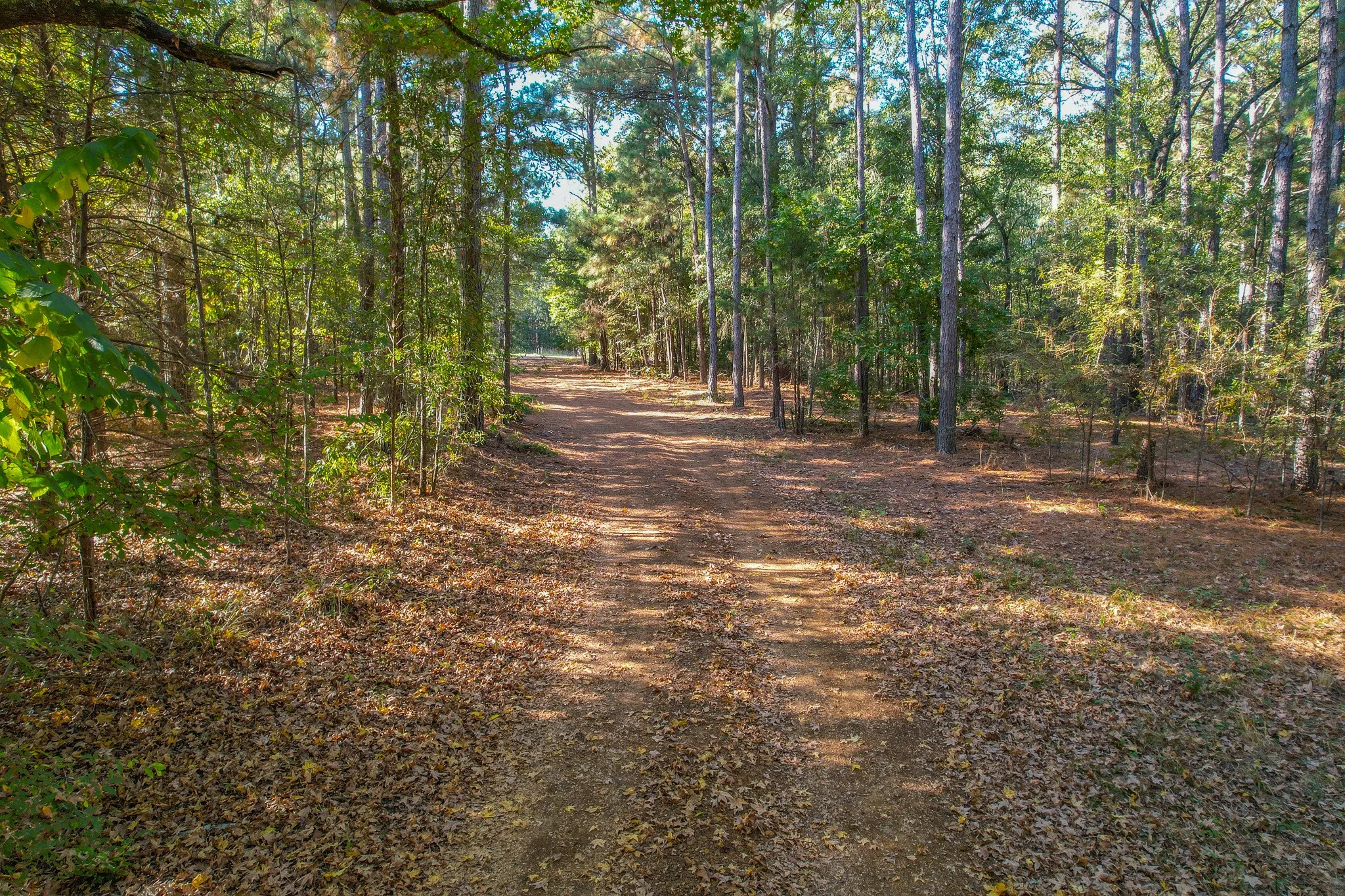 Unimproved Land For Sale in Henderson County , 7821 Cr 3409, Chandler, Texas 75758, 0, 0, Garage spaces, 0 Sqft, built in 0, Price $495,000, mls#21277749, Real Estate Agent in Chandler, Homes For Sale in Henderson county, Homes For Sale in Chandler, Realtor in Chandler Texas, Real Estate Brokerage Independent Realty Texas, Luminita Cordes Realtor