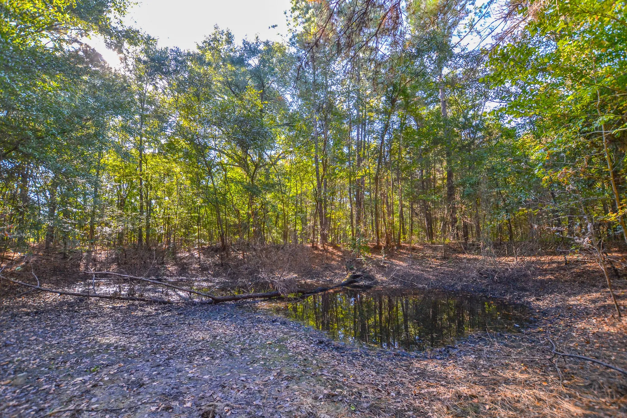 Unimproved Land For Sale in Henderson County , 7821 Cr 3409, Chandler, Texas 75758, 0, 0, Garage spaces, 0 Sqft, built in 0, Price $495,000, mls#21277749, Real Estate Agent in Chandler, Homes For Sale in Henderson county, Homes For Sale in Chandler, Realtor in Chandler Texas, Real Estate Brokerage Independent Realty Texas, Luminita Cordes Realtor
