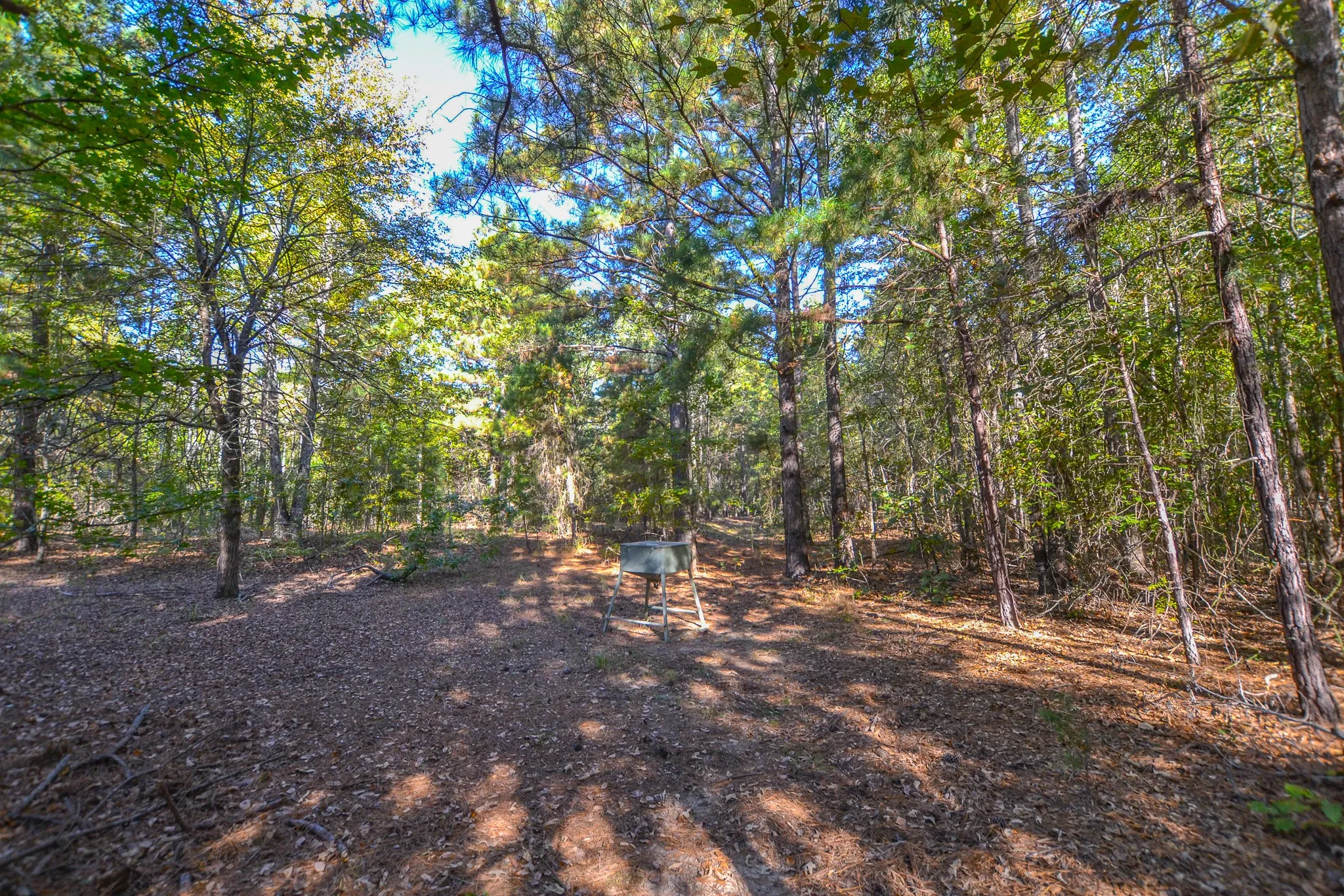 Unimproved Land For Sale in Henderson County , 7821 Cr 3409, Chandler, Texas 75758, 0, 0, Garage spaces, 0 Sqft, built in 0, Price $495,000, mls#21277749, Real Estate Agent in Chandler, Homes For Sale in Henderson county, Homes For Sale in Chandler, Realtor in Chandler Texas, Real Estate Brokerage Independent Realty Texas, Luminita Cordes Realtor