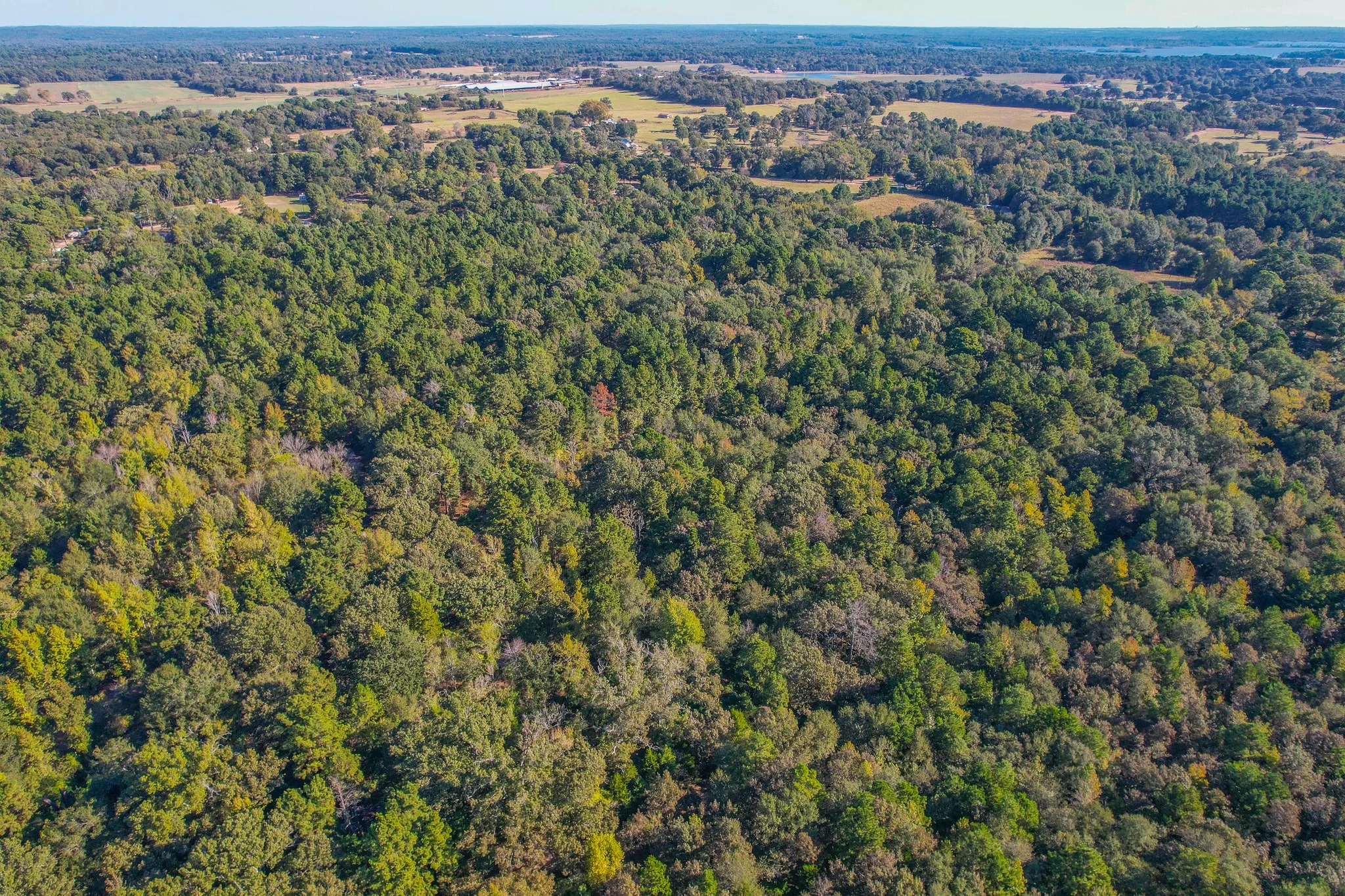Unimproved Land For Sale in Henderson County , 7821 Cr 3409, Chandler, Texas 75758, 0, 0, Garage spaces, 0 Sqft, built in 0, Price $495,000, mls#21277749, Real Estate Agent in Chandler, Homes For Sale in Henderson county, Homes For Sale in Chandler, Realtor in Chandler Texas, Real Estate Brokerage Independent Realty Texas, Luminita Cordes Realtor