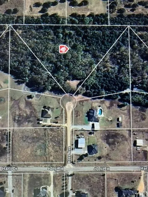 Unimproved Land For Sale in Fannin County , 100 Block Ross Avenue, Trenton, Texas 75490, 0, 0, Garage spaces, 0 Sqft, built in 0, Price $224,500, mls#21277792, Real Estate Agent in Trenton, Homes For Sale in Fannin county, Homes For Sale in Trenton, Realtor in Trenton Texas, Real Estate Brokerage Independent Realty Texas, Luminita Cordes Realtor