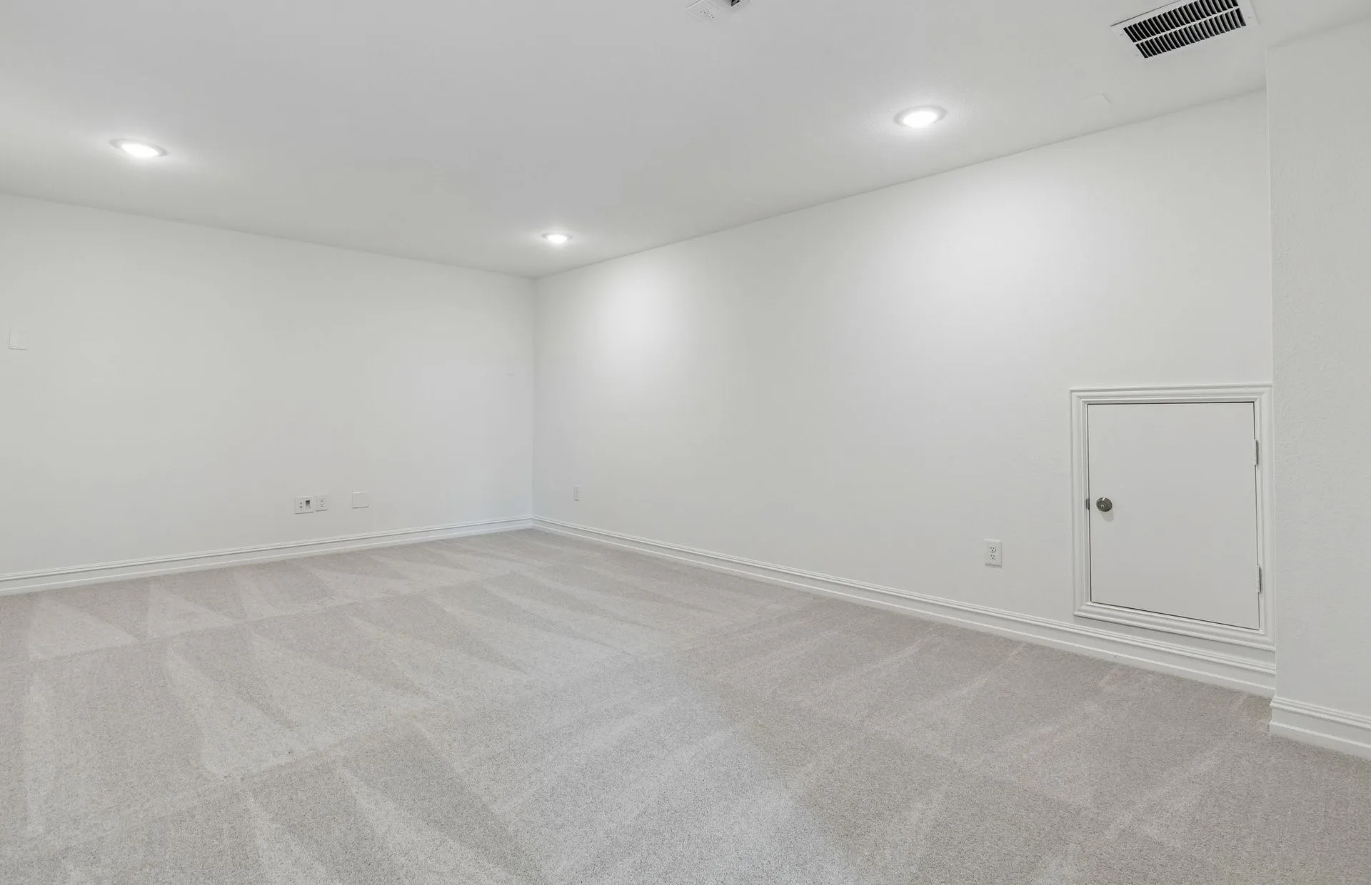 Spacious media room
