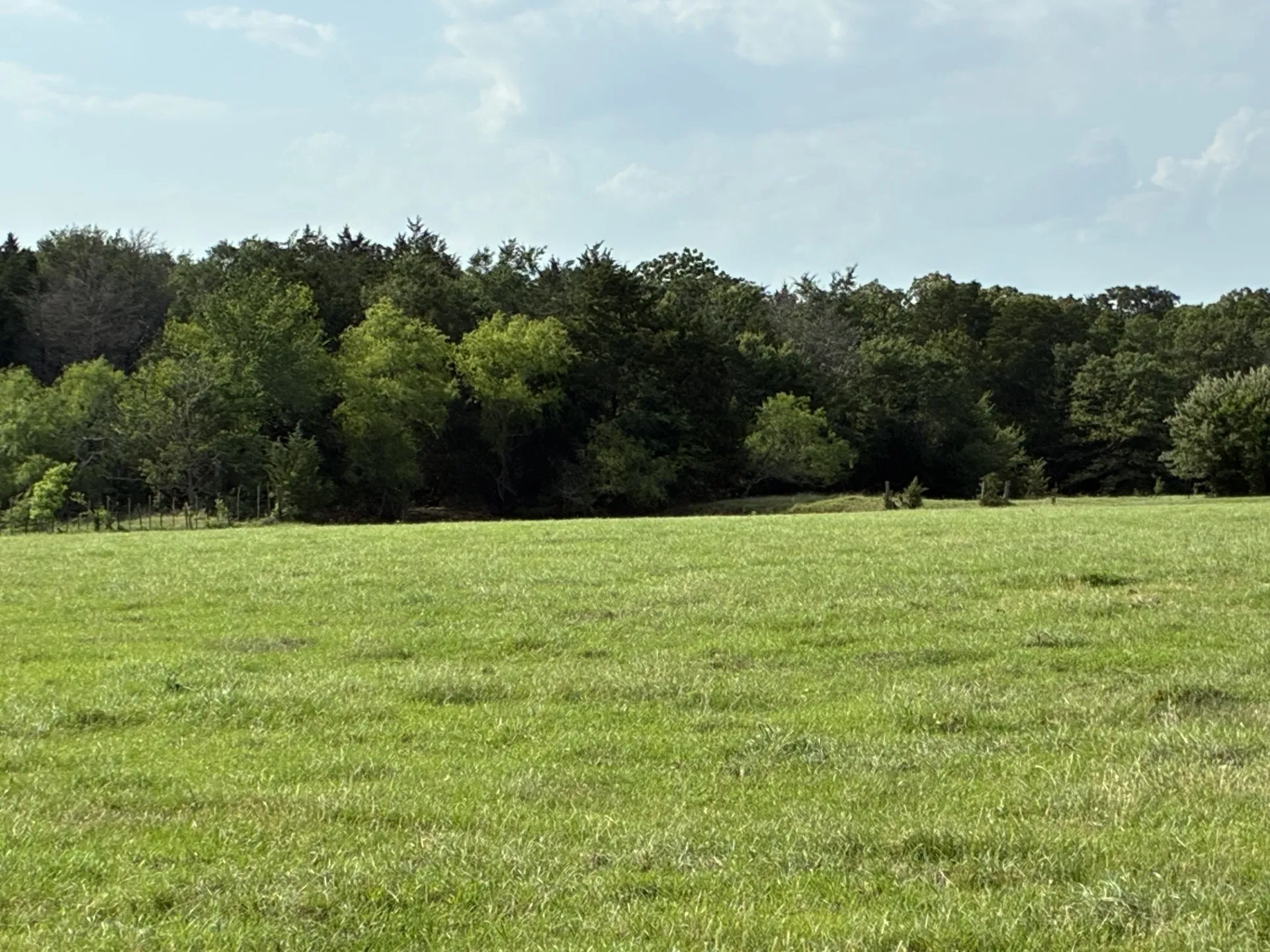 Ranch For Sale in Freestone County , TBD County Road 1128, Streetman, Texas 75859, 0, 0, Garage spaces, 0 Sqft, built in 0, Price $295,300, mls#21277820, Real Estate Agent in Streetman, Homes For Sale in Freestone county, Homes For Sale in Streetman, Realtor in Streetman Texas, Real Estate Brokerage Independent Realty Texas, Luminita Cordes Realtor
