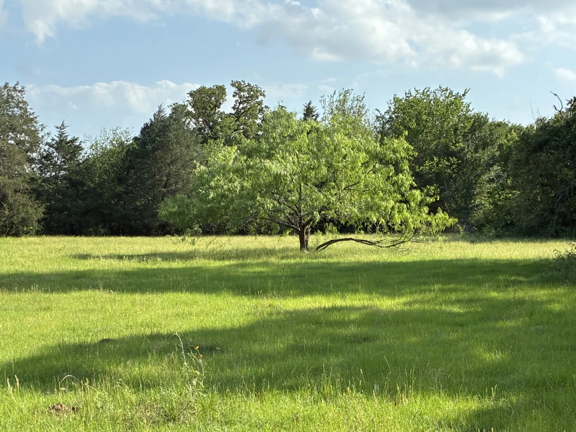 Ranch For Sale in Freestone County , TBD County Road 1128, Streetman, Texas 75859, 0, 0, Garage spaces, 0 Sqft, built in 0, Price $295,300, mls#21277820, Real Estate Agent in Streetman, Homes For Sale in Freestone county, Homes For Sale in Streetman, Realtor in Streetman Texas, Real Estate Brokerage Independent Realty Texas, Luminita Cordes Realtor