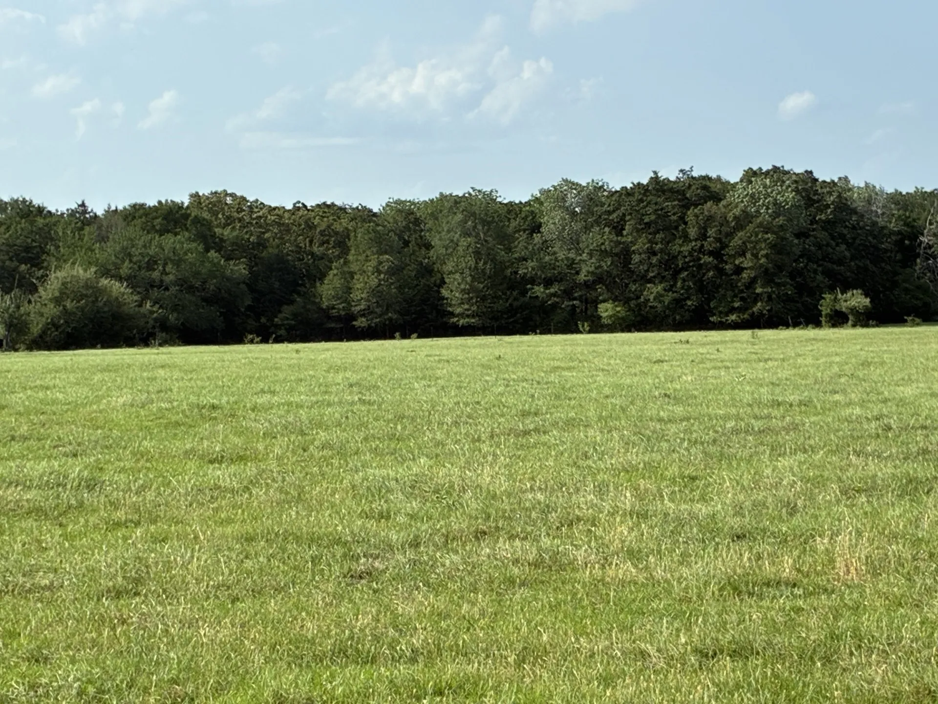 Ranch For Sale in Freestone County , TBD County Road 1128, Streetman, Texas 75859, 0, 0, Garage spaces, 0 Sqft, built in 0, Price $295,300, mls#21277820, Real Estate Agent in Streetman, Homes For Sale in Freestone county, Homes For Sale in Streetman, Realtor in Streetman Texas, Real Estate Brokerage Independent Realty Texas, Luminita Cordes Realtor