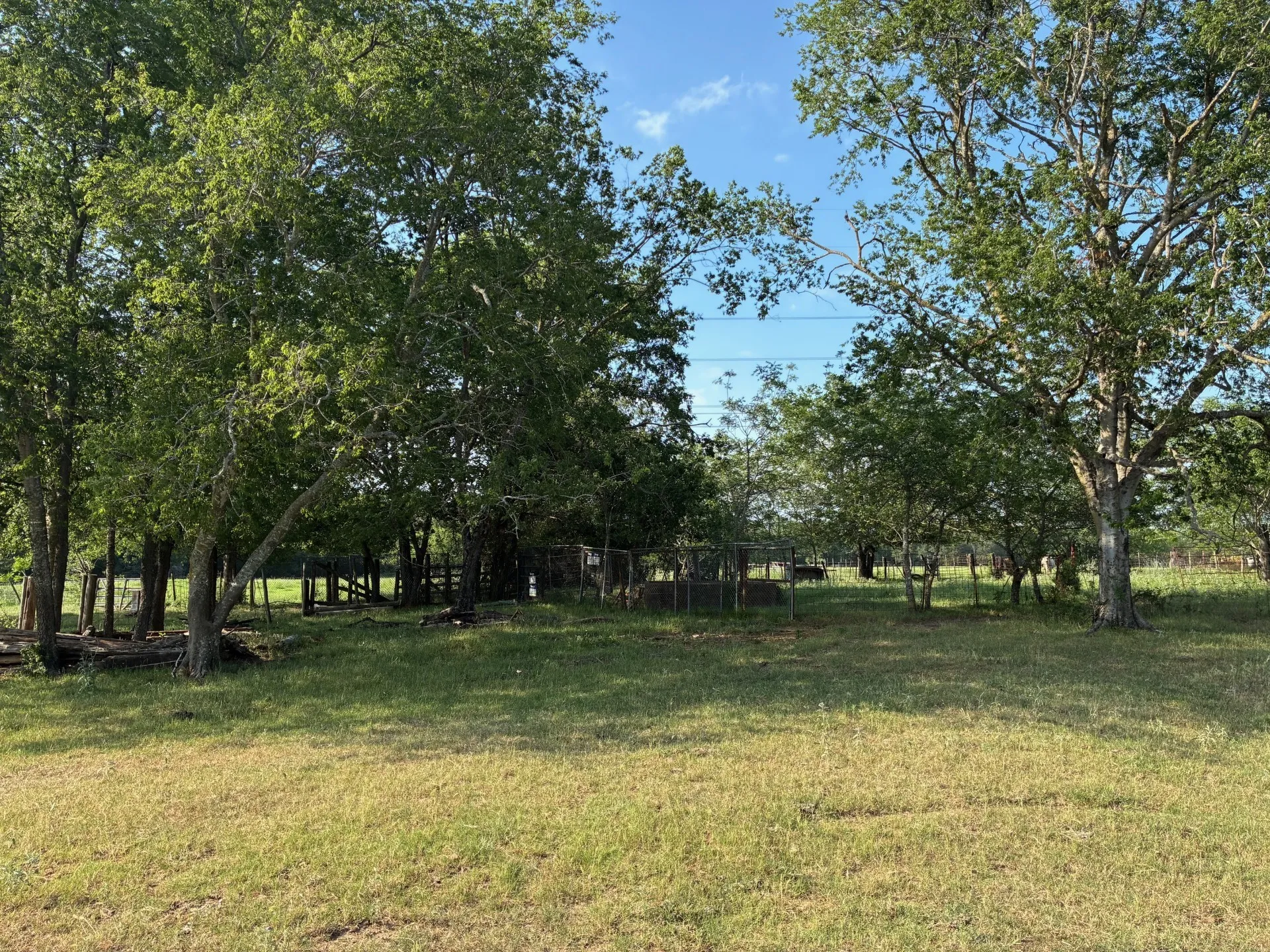 Ranch For Sale in Freestone County , TBD County Road 1128, Streetman, Texas 75859, 0, 0, Garage spaces, 0 Sqft, built in 0, Price $295,300, mls#21277820, Real Estate Agent in Streetman, Homes For Sale in Freestone county, Homes For Sale in Streetman, Realtor in Streetman Texas, Real Estate Brokerage Independent Realty Texas, Luminita Cordes Realtor
