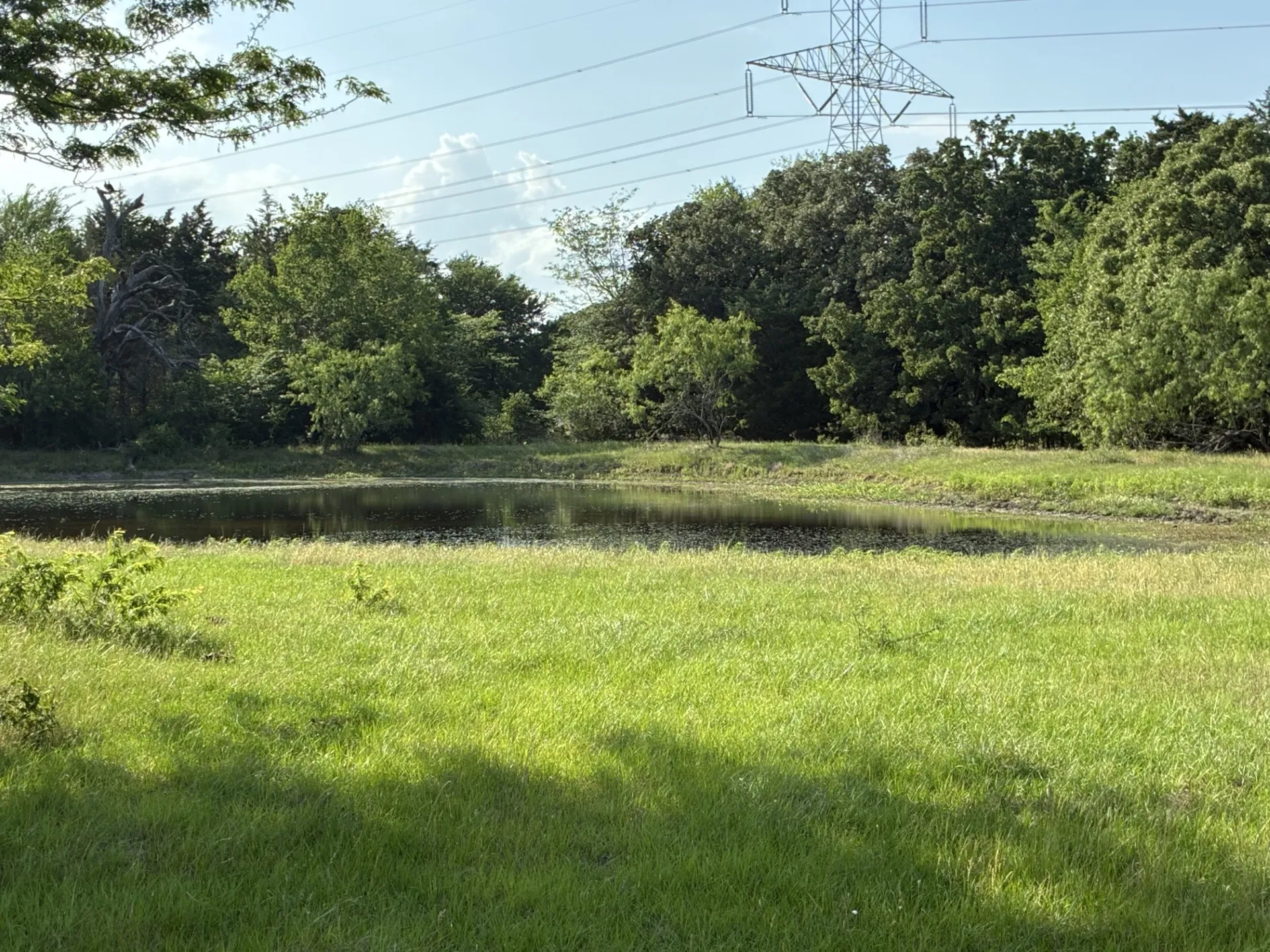 Pond
