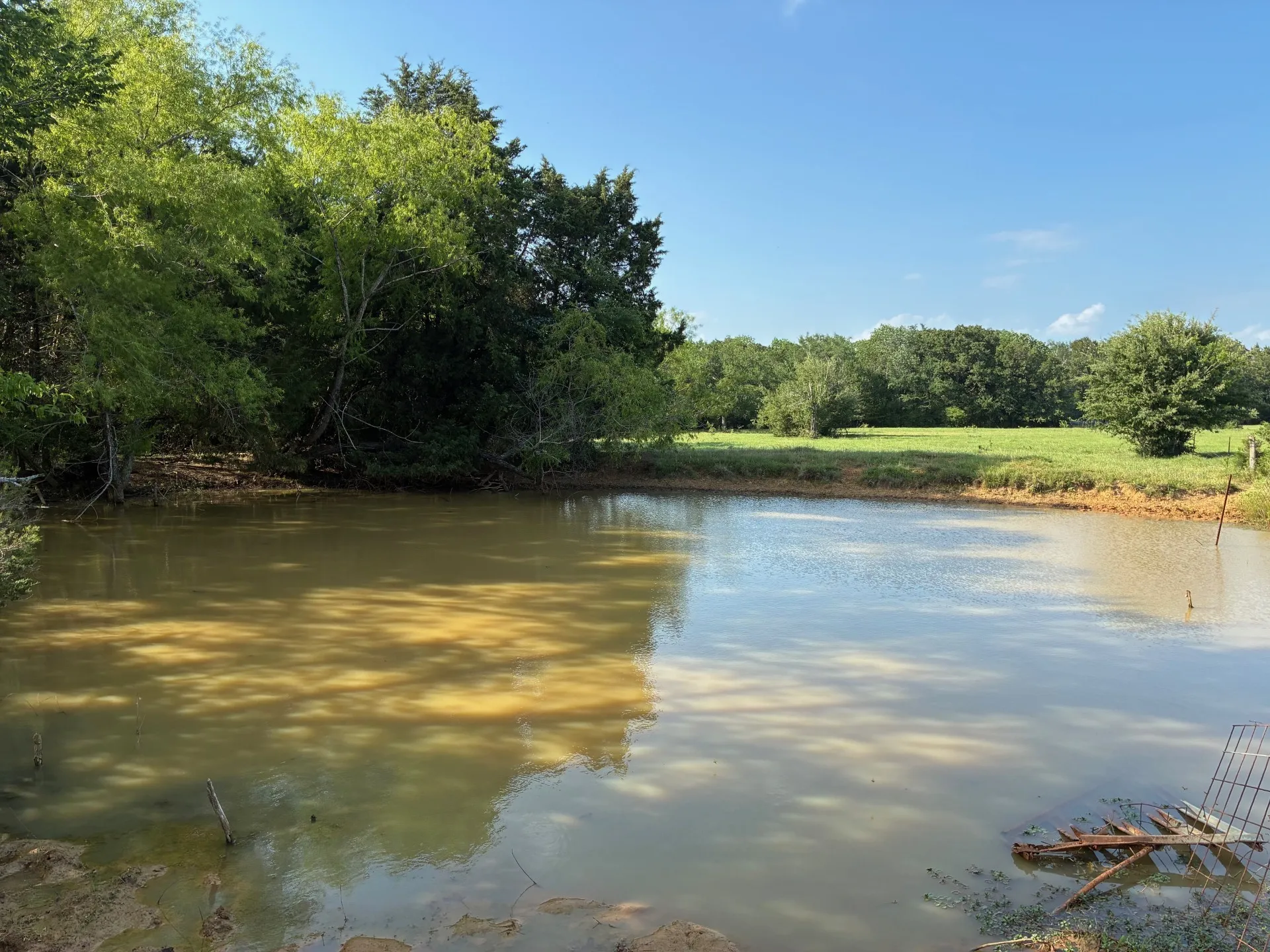 pond