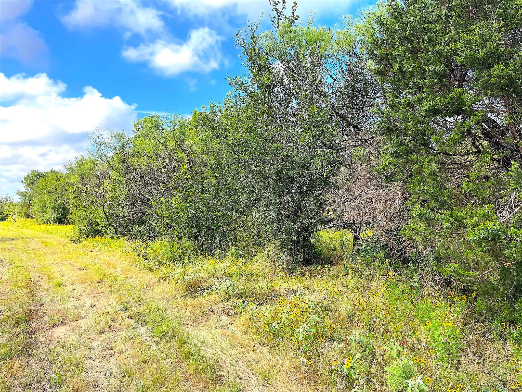 Unimproved Land For Sale in Parker County , 11020 Hwy 281, Whitt, Texas 76490, 0, 0, Garage spaces, 0 Sqft, built in 0, Price $899,000, mls#21277808, Real Estate Agent in Whitt, Homes For Sale in Parker county, Homes For Sale in Whitt, Realtor in Whitt Texas, Real Estate Brokerage Independent Realty Texas, Luminita Cordes Realtor