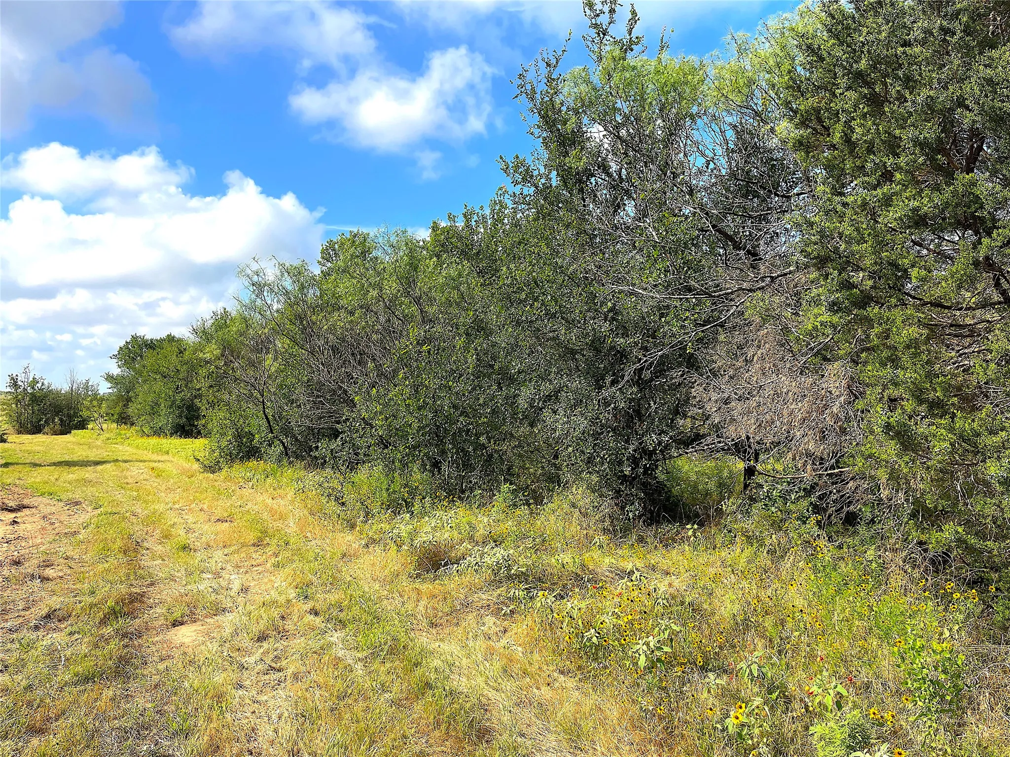 Unimproved Land For Sale in Parker County , 11020 Hwy 281, Whitt, Texas 76490, 0, 0, Garage spaces, 0 Sqft, built in 0, Price $899,000, mls#21277808, Real Estate Agent in Whitt, Homes For Sale in Parker county, Homes For Sale in Whitt, Realtor in Whitt Texas, Real Estate Brokerage Independent Realty Texas, Luminita Cordes Realtor