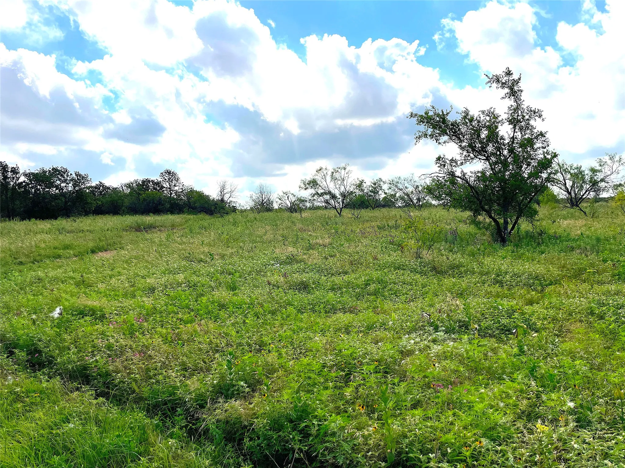 Unimproved Land For Sale in Parker County , 11020 Hwy 281, Whitt, Texas 76490, 0, 0, Garage spaces, 0 Sqft, built in 0, Price $899,000, mls#21277808, Real Estate Agent in Whitt, Homes For Sale in Parker county, Homes For Sale in Whitt, Realtor in Whitt Texas, Real Estate Brokerage Independent Realty Texas, Luminita Cordes Realtor
