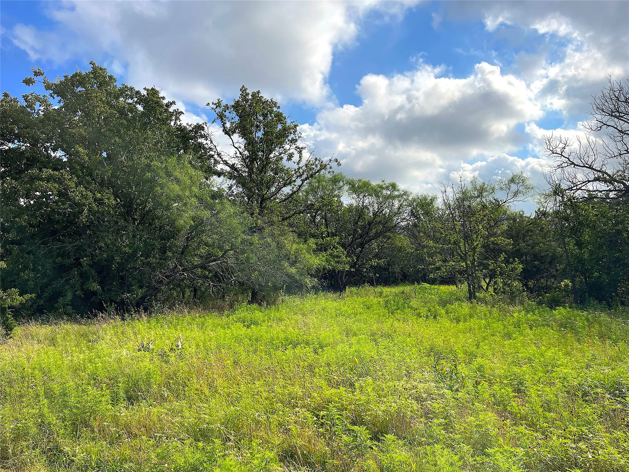 Unimproved Land For Sale in Parker County , 11020 Hwy 281, Whitt, Texas 76490, 0, 0, Garage spaces, 0 Sqft, built in 0, Price $899,000, mls#21277808, Real Estate Agent in Whitt, Homes For Sale in Parker county, Homes For Sale in Whitt, Realtor in Whitt Texas, Real Estate Brokerage Independent Realty Texas, Luminita Cordes Realtor