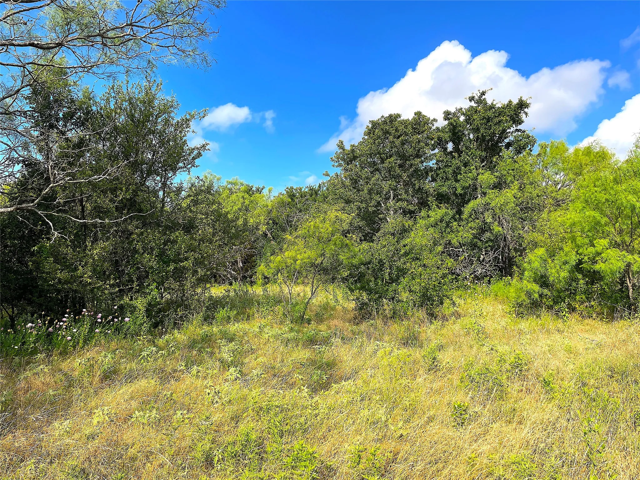 Unimproved Land For Sale in Parker County , 11020 Hwy 281, Whitt, Texas 76490, 0, 0, Garage spaces, 0 Sqft, built in 0, Price $899,000, mls#21277808, Real Estate Agent in Whitt, Homes For Sale in Parker county, Homes For Sale in Whitt, Realtor in Whitt Texas, Real Estate Brokerage Independent Realty Texas, Luminita Cordes Realtor