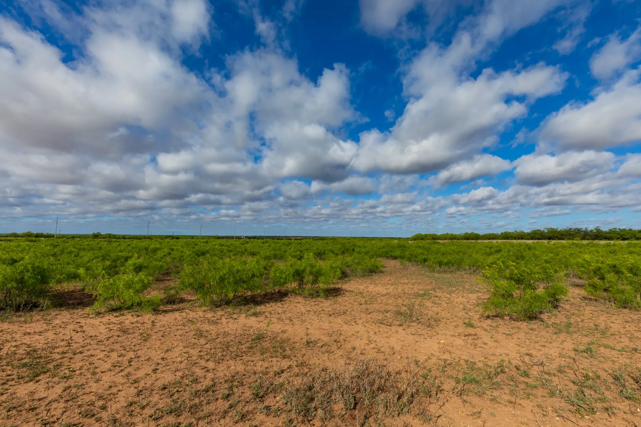 Unimproved Land For Sale in Haskell County , 600 Fm 600, Haskell, Texas 79553, 0, 0, Garage spaces, 0 Sqft, built in 0, mls#21276684, Real Estate Agent in Haskell, Homes For Sale in Haskell county, Homes For Sale in Haskell, Realtor in Haskell Texas, Real Estate Brokerage Independent Realty Texas, Luminita Cordes Realtor