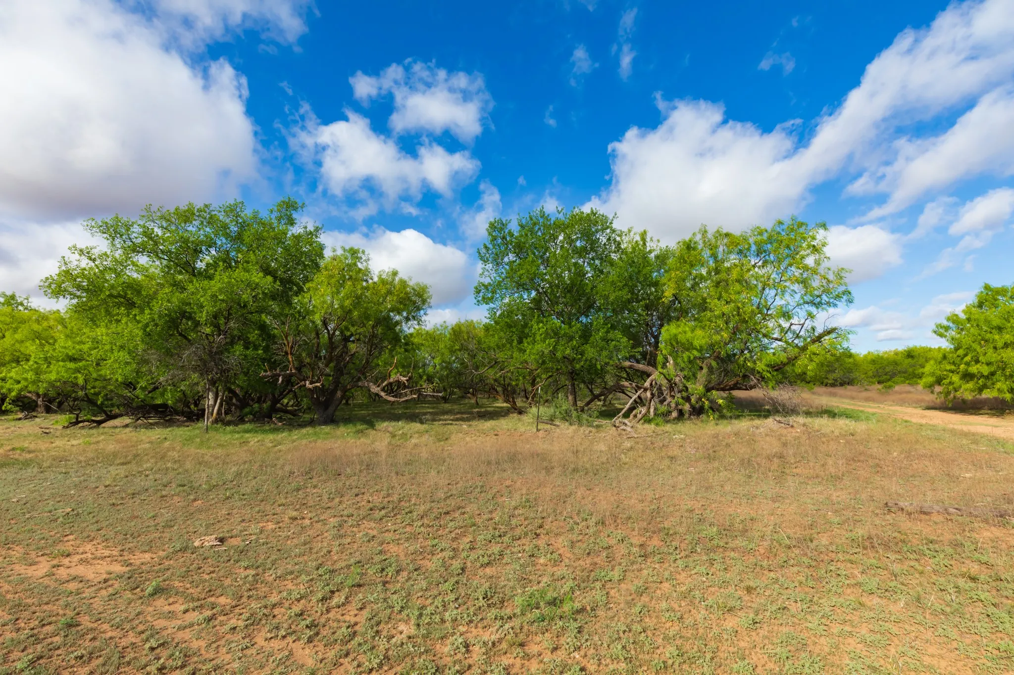 Unimproved Land For Sale in Haskell County , 600 Fm 600, Haskell, Texas 79553, 0, 0, Garage spaces, 0 Sqft, built in 0, mls#21276684, Real Estate Agent in Haskell, Homes For Sale in Haskell county, Homes For Sale in Haskell, Realtor in Haskell Texas, Real Estate Brokerage Independent Realty Texas, Luminita Cordes Realtor