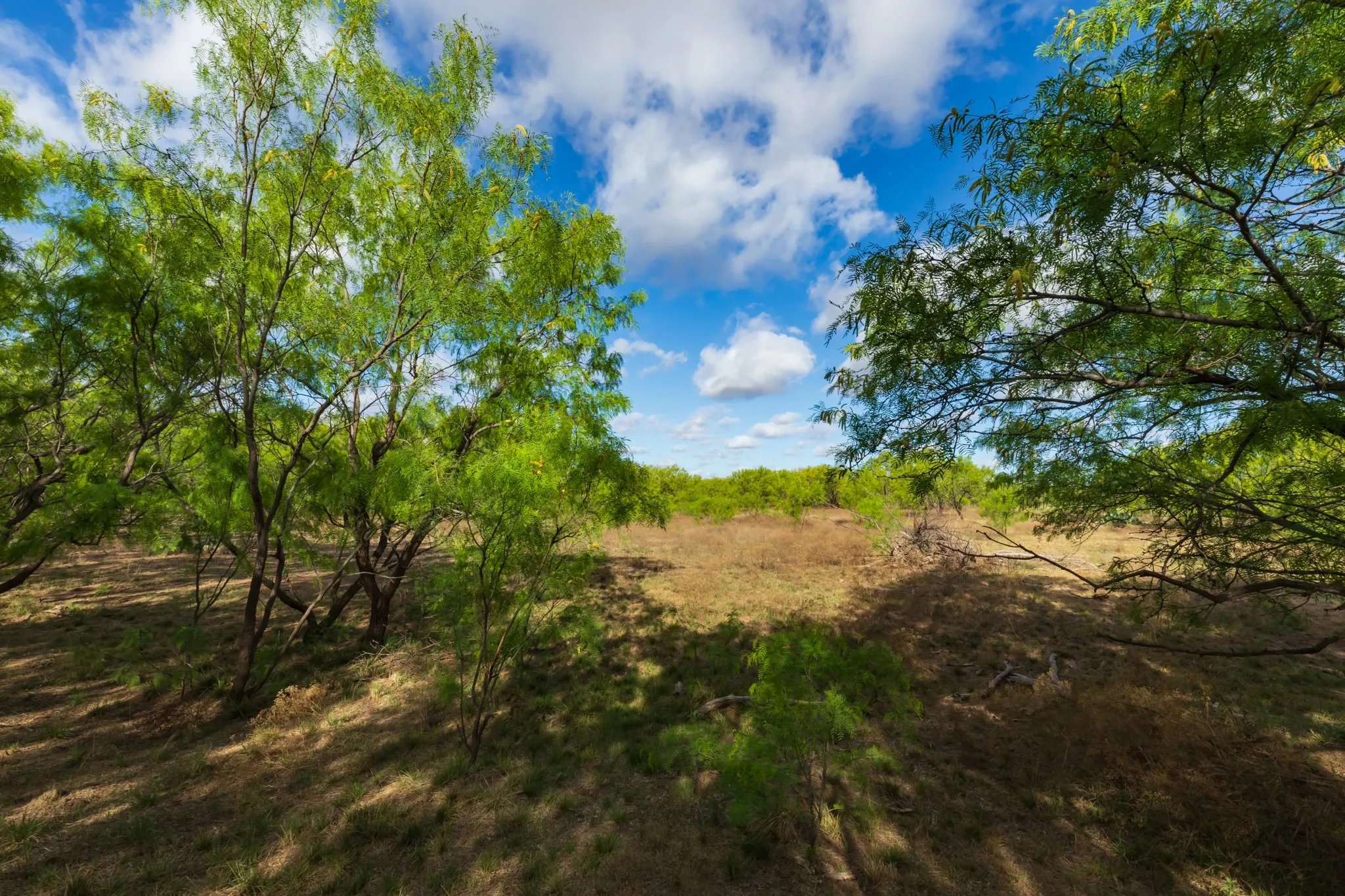 Unimproved Land For Sale in Haskell County , 600 Fm 600, Haskell, Texas 79553, 0, 0, Garage spaces, 0 Sqft, built in 0, mls#21276684, Real Estate Agent in Haskell, Homes For Sale in Haskell county, Homes For Sale in Haskell, Realtor in Haskell Texas, Real Estate Brokerage Independent Realty Texas, Luminita Cordes Realtor
