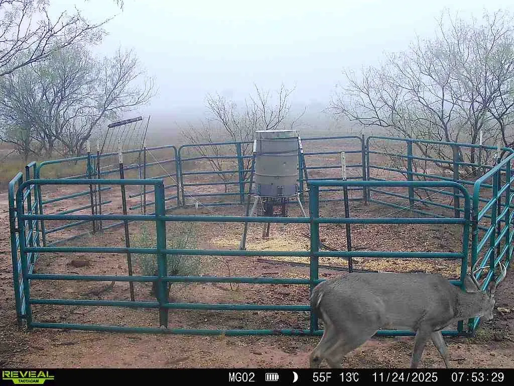 Unimproved Land For Sale in Haskell County , 600 Fm 600, Haskell, Texas 79553, 0, 0, Garage spaces, 0 Sqft, built in 0, mls#21276684, Real Estate Agent in Haskell, Homes For Sale in Haskell county, Homes For Sale in Haskell, Realtor in Haskell Texas, Real Estate Brokerage Independent Realty Texas, Luminita Cordes Realtor