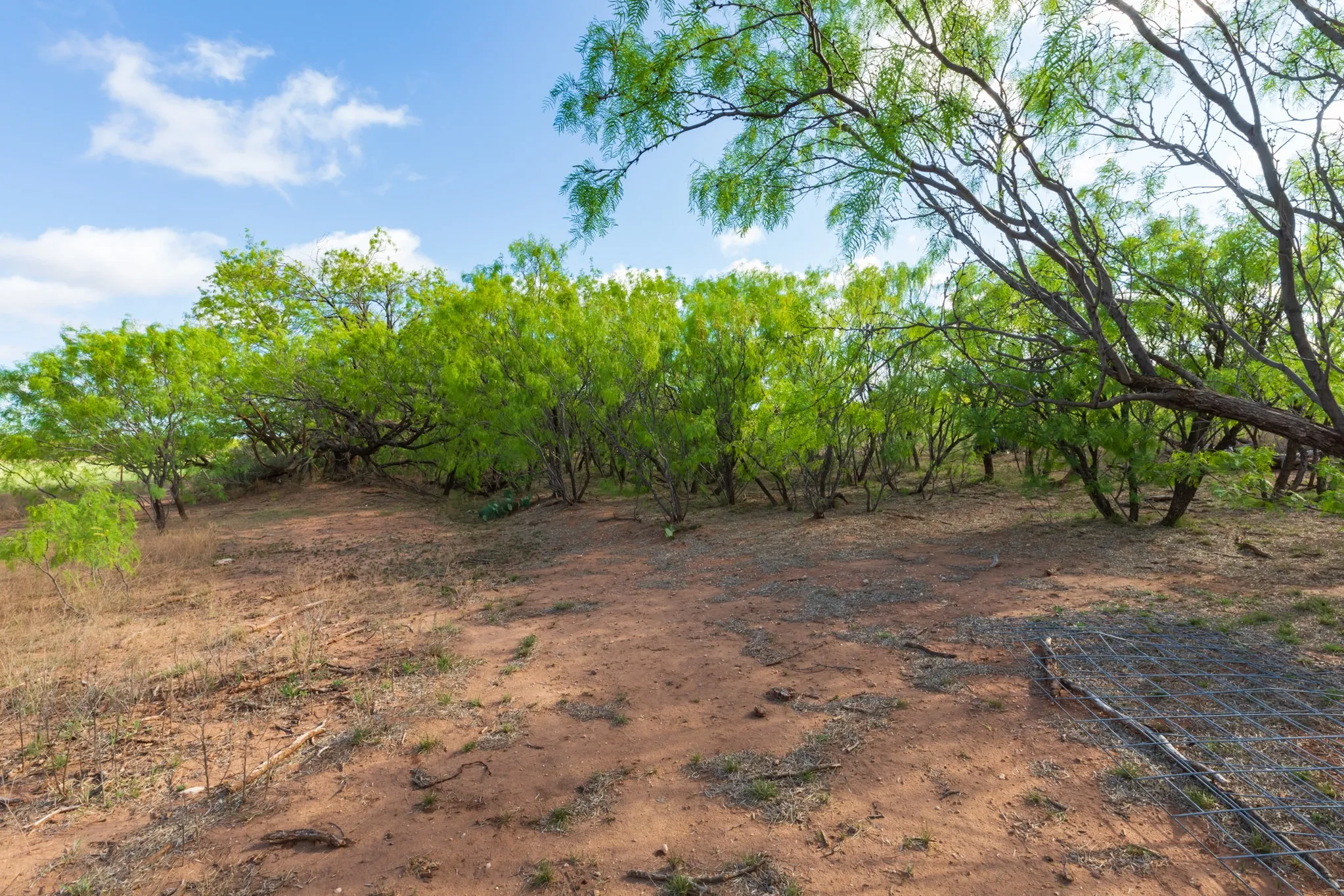 Unimproved Land For Sale in Haskell County , 600 Fm 600, Haskell, Texas 79553, 0, 0, Garage spaces, 0 Sqft, built in 0, mls#21276684, Real Estate Agent in Haskell, Homes For Sale in Haskell county, Homes For Sale in Haskell, Realtor in Haskell Texas, Real Estate Brokerage Independent Realty Texas, Luminita Cordes Realtor