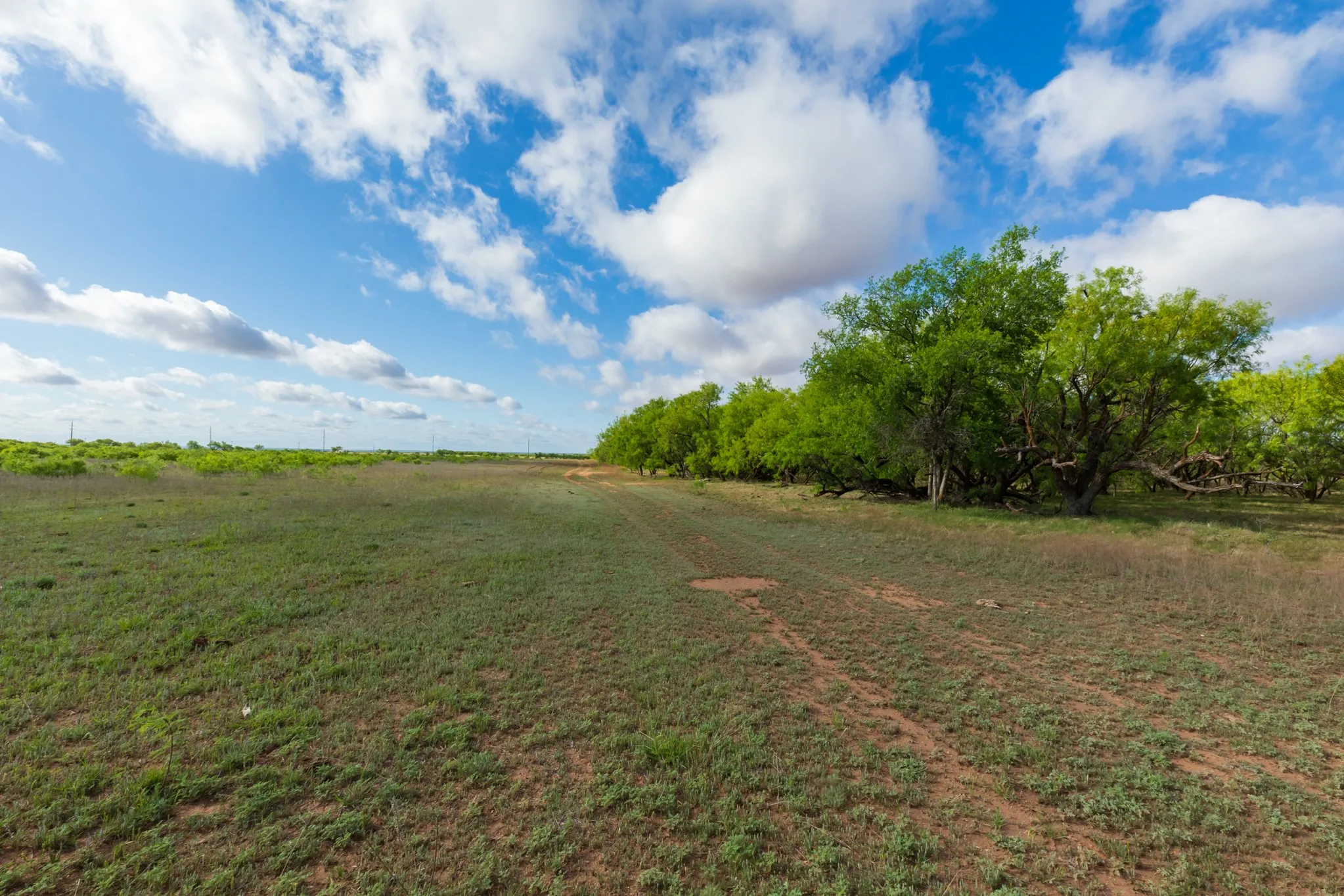 Unimproved Land For Sale in Haskell County , 600 Fm 600, Haskell, Texas 79553, 0, 0, Garage spaces, 0 Sqft, built in 0, mls#21276684, Real Estate Agent in Haskell, Homes For Sale in Haskell county, Homes For Sale in Haskell, Realtor in Haskell Texas, Real Estate Brokerage Independent Realty Texas, Luminita Cordes Realtor