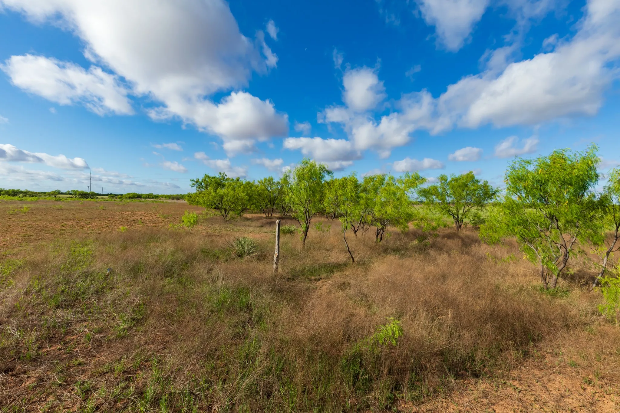 Unimproved Land For Sale in Haskell County , 600 Fm 600, Haskell, Texas 79553, 0, 0, Garage spaces, 0 Sqft, built in 0, mls#21276684, Real Estate Agent in Haskell, Homes For Sale in Haskell county, Homes For Sale in Haskell, Realtor in Haskell Texas, Real Estate Brokerage Independent Realty Texas, Luminita Cordes Realtor
