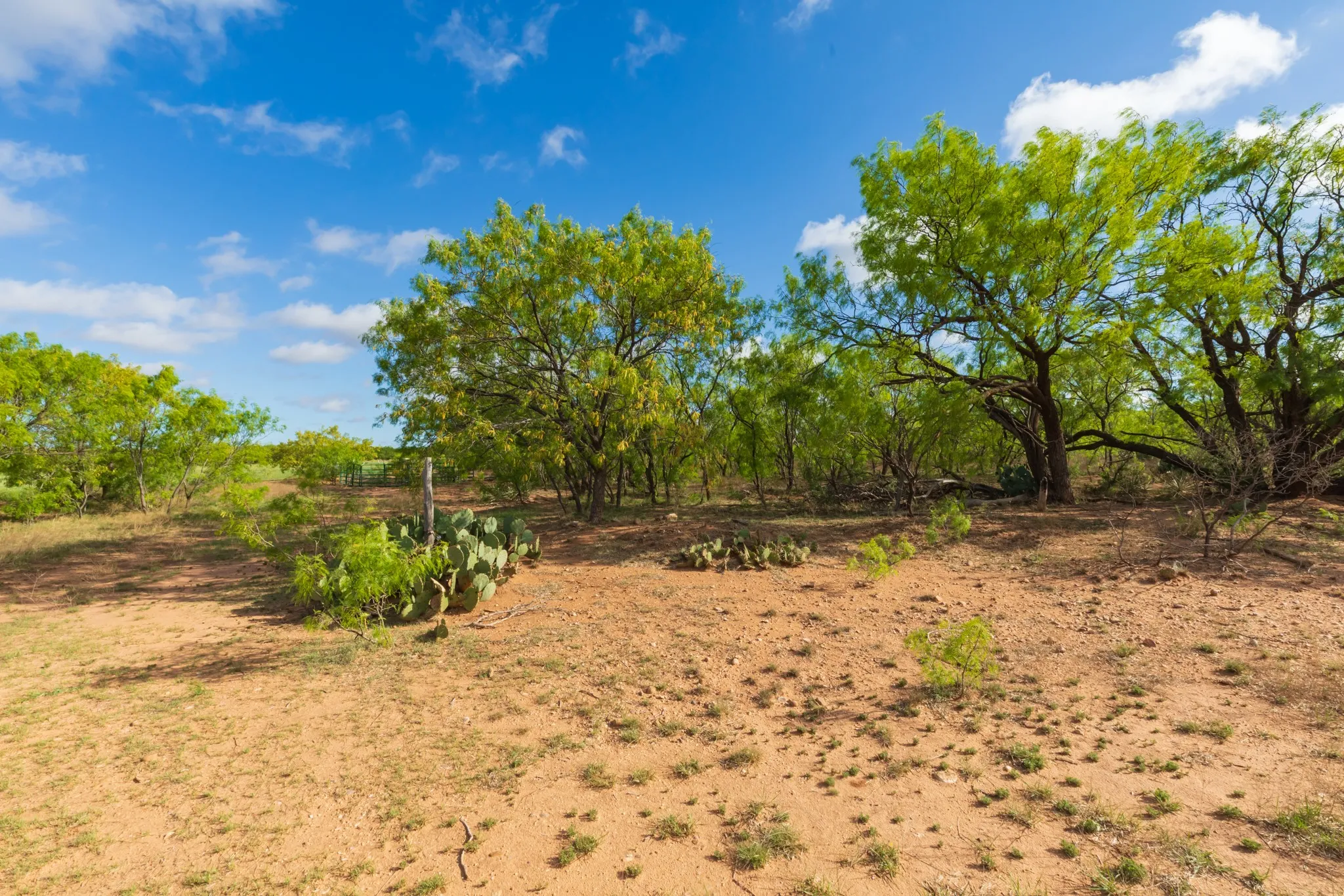 Unimproved Land For Sale in Haskell County , 600 Fm 600, Haskell, Texas 79553, 0, 0, Garage spaces, 0 Sqft, built in 0, mls#21276684, Real Estate Agent in Haskell, Homes For Sale in Haskell county, Homes For Sale in Haskell, Realtor in Haskell Texas, Real Estate Brokerage Independent Realty Texas, Luminita Cordes Realtor