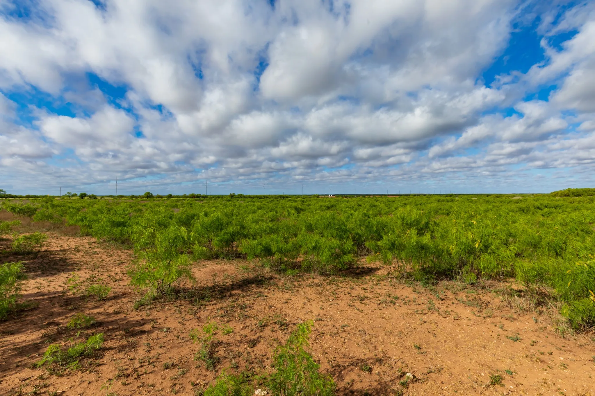 Unimproved Land For Sale in Haskell County , 600 Fm 600, Haskell, Texas 79553, 0, 0, Garage spaces, 0 Sqft, built in 0, mls#21276684, Real Estate Agent in Haskell, Homes For Sale in Haskell county, Homes For Sale in Haskell, Realtor in Haskell Texas, Real Estate Brokerage Independent Realty Texas, Luminita Cordes Realtor