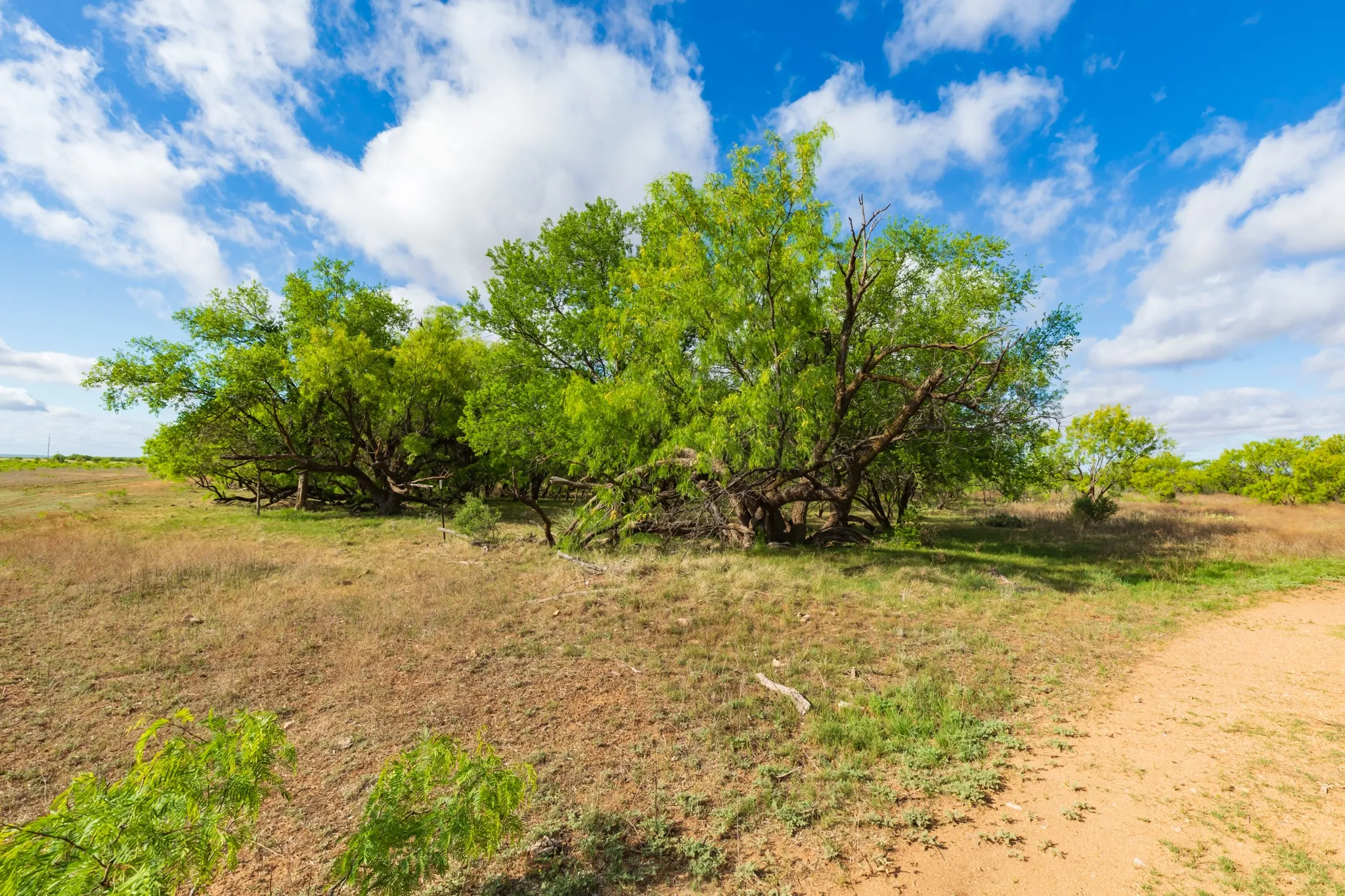 Unimproved Land For Sale in Haskell County , 600 Fm 600, Haskell, Texas 79553, 0, 0, Garage spaces, 0 Sqft, built in 0, mls#21276684, Real Estate Agent in Haskell, Homes For Sale in Haskell county, Homes For Sale in Haskell, Realtor in Haskell Texas, Real Estate Brokerage Independent Realty Texas, Luminita Cordes Realtor