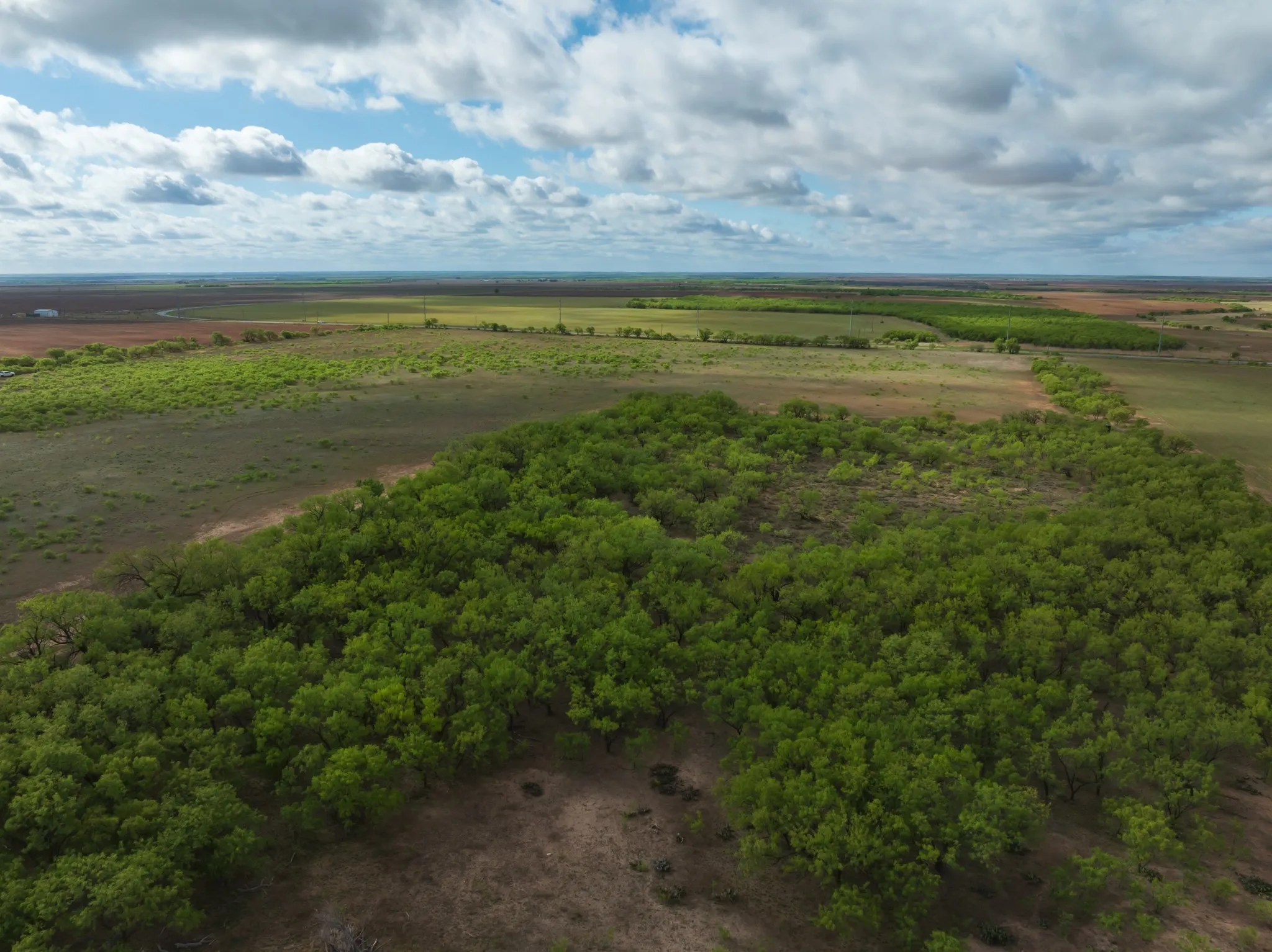 Unimproved Land For Sale in Haskell County , 600 Fm 600, Haskell, Texas 79553, 0, 0, Garage spaces, 0 Sqft, built in 0, mls#21276684, Real Estate Agent in Haskell, Homes For Sale in Haskell county, Homes For Sale in Haskell, Realtor in Haskell Texas, Real Estate Brokerage Independent Realty Texas, Luminita Cordes Realtor