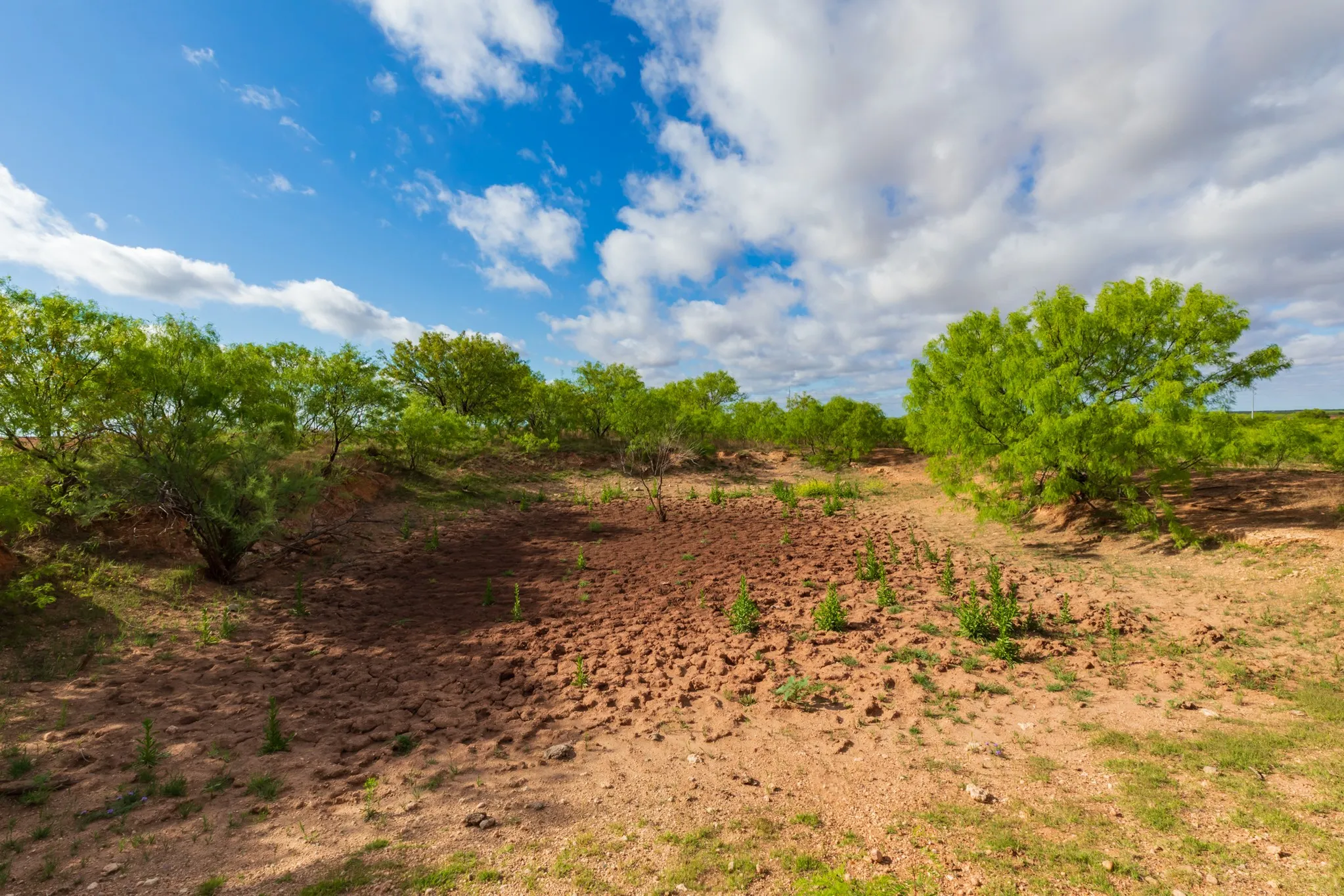 Unimproved Land For Sale in Haskell County , 600 Fm 600, Haskell, Texas 79553, 0, 0, Garage spaces, 0 Sqft, built in 0, mls#21276684, Real Estate Agent in Haskell, Homes For Sale in Haskell county, Homes For Sale in Haskell, Realtor in Haskell Texas, Real Estate Brokerage Independent Realty Texas, Luminita Cordes Realtor