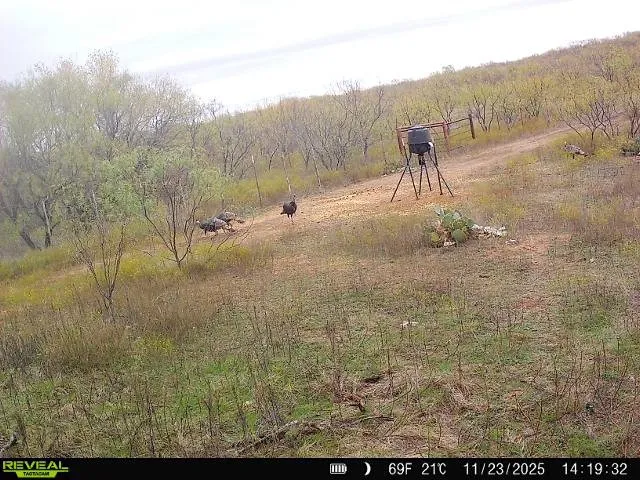 Unimproved Land For Sale in Haskell County , 600 Fm 600, Haskell, Texas 79553, 0, 0, Garage spaces, 0 Sqft, built in 0, mls#21276684, Real Estate Agent in Haskell, Homes For Sale in Haskell county, Homes For Sale in Haskell, Realtor in Haskell Texas, Real Estate Brokerage Independent Realty Texas, Luminita Cordes Realtor