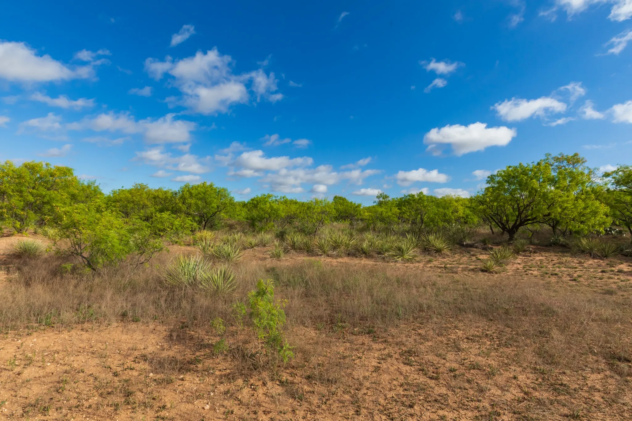 Unimproved Land For Sale in Haskell County , 600 Fm 600, Haskell, Texas 79553, 0, 0, Garage spaces, 0 Sqft, built in 0, mls#21276684, Real Estate Agent in Haskell, Homes For Sale in Haskell county, Homes For Sale in Haskell, Realtor in Haskell Texas, Real Estate Brokerage Independent Realty Texas, Luminita Cordes Realtor