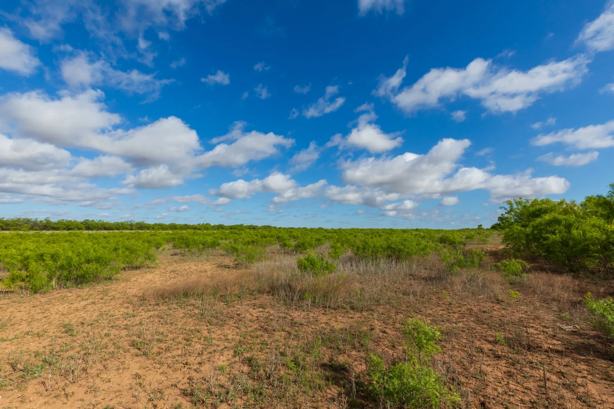 Unimproved Land For Sale in Haskell County , 600 Fm 600, Haskell, Texas 79553, 0, 0, Garage spaces, 0 Sqft, built in 0, mls#21276684, Real Estate Agent in Haskell, Homes For Sale in Haskell county, Homes For Sale in Haskell, Realtor in Haskell Texas, Real Estate Brokerage Independent Realty Texas, Luminita Cordes Realtor