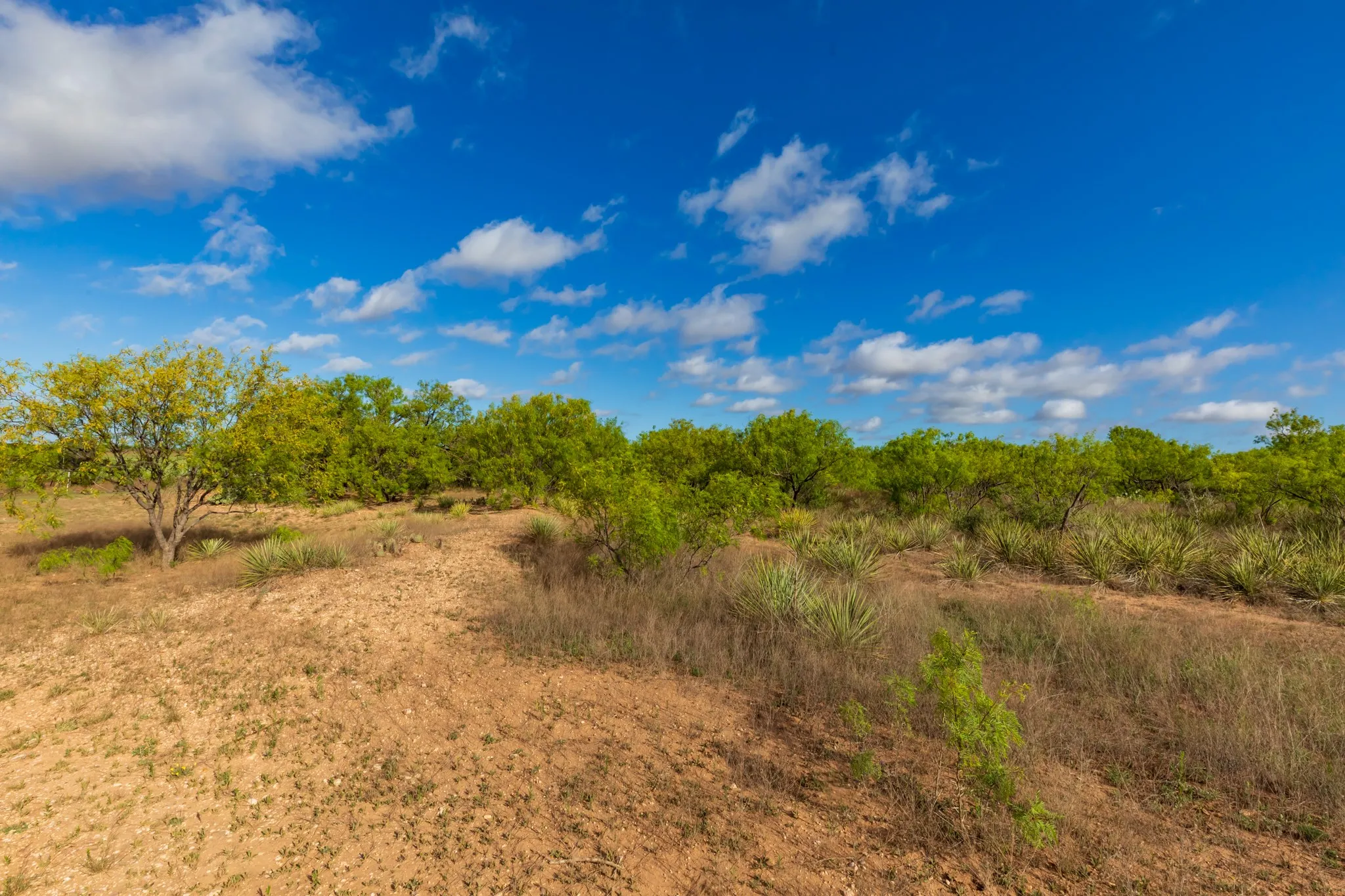 Unimproved Land For Sale in Haskell County , 600 Fm 600, Haskell, Texas 79553, 0, 0, Garage spaces, 0 Sqft, built in 0, mls#21276684, Real Estate Agent in Haskell, Homes For Sale in Haskell county, Homes For Sale in Haskell, Realtor in Haskell Texas, Real Estate Brokerage Independent Realty Texas, Luminita Cordes Realtor