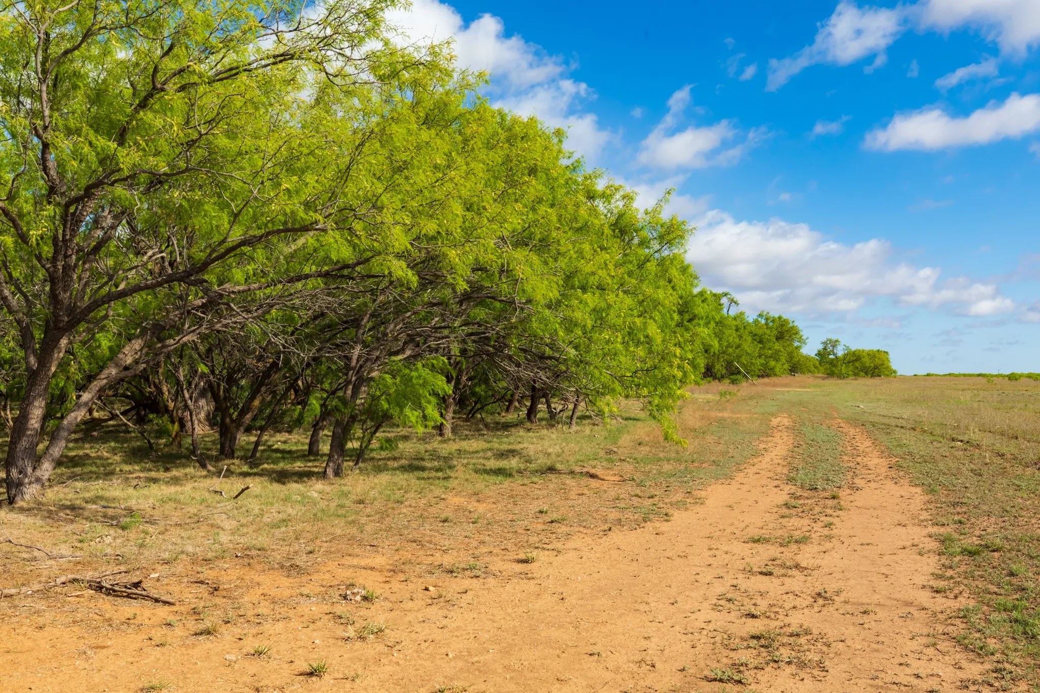 Unimproved Land For Sale in Haskell County , 600 Fm 600, Haskell, Texas 79553, 0, 0, Garage spaces, 0 Sqft, built in 0, mls#21276684, Real Estate Agent in Haskell, Homes For Sale in Haskell county, Homes For Sale in Haskell, Realtor in Haskell Texas, Real Estate Brokerage Independent Realty Texas, Luminita Cordes Realtor